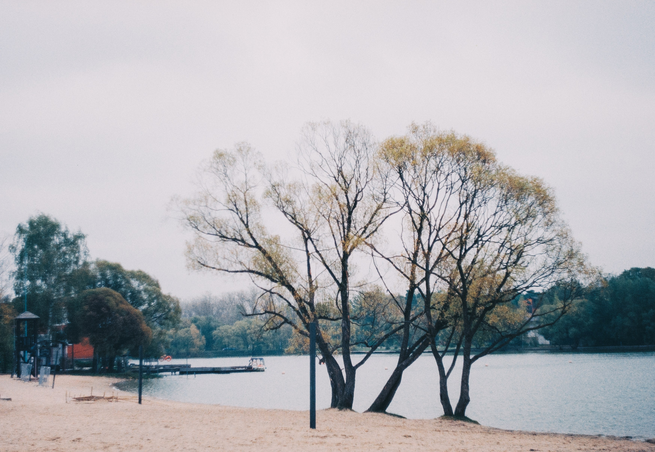 Первые кадры на пленку. Фотограф из Москвы — DASHA NOVA | Авторская фотография в разных жанрах