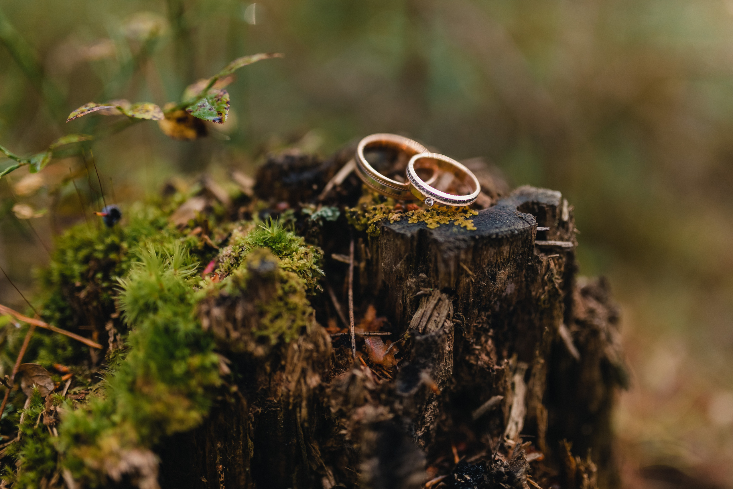 Арина + Владимир. Роман Урумбаев фотограф Нижневартовск