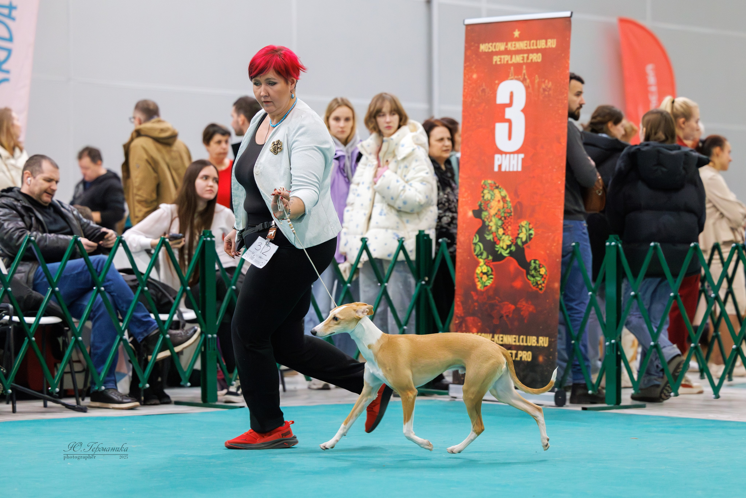 Гран-При 8.02.2025 и Крокус 09.02.2025. Фотограф-анималист Юлия Германика