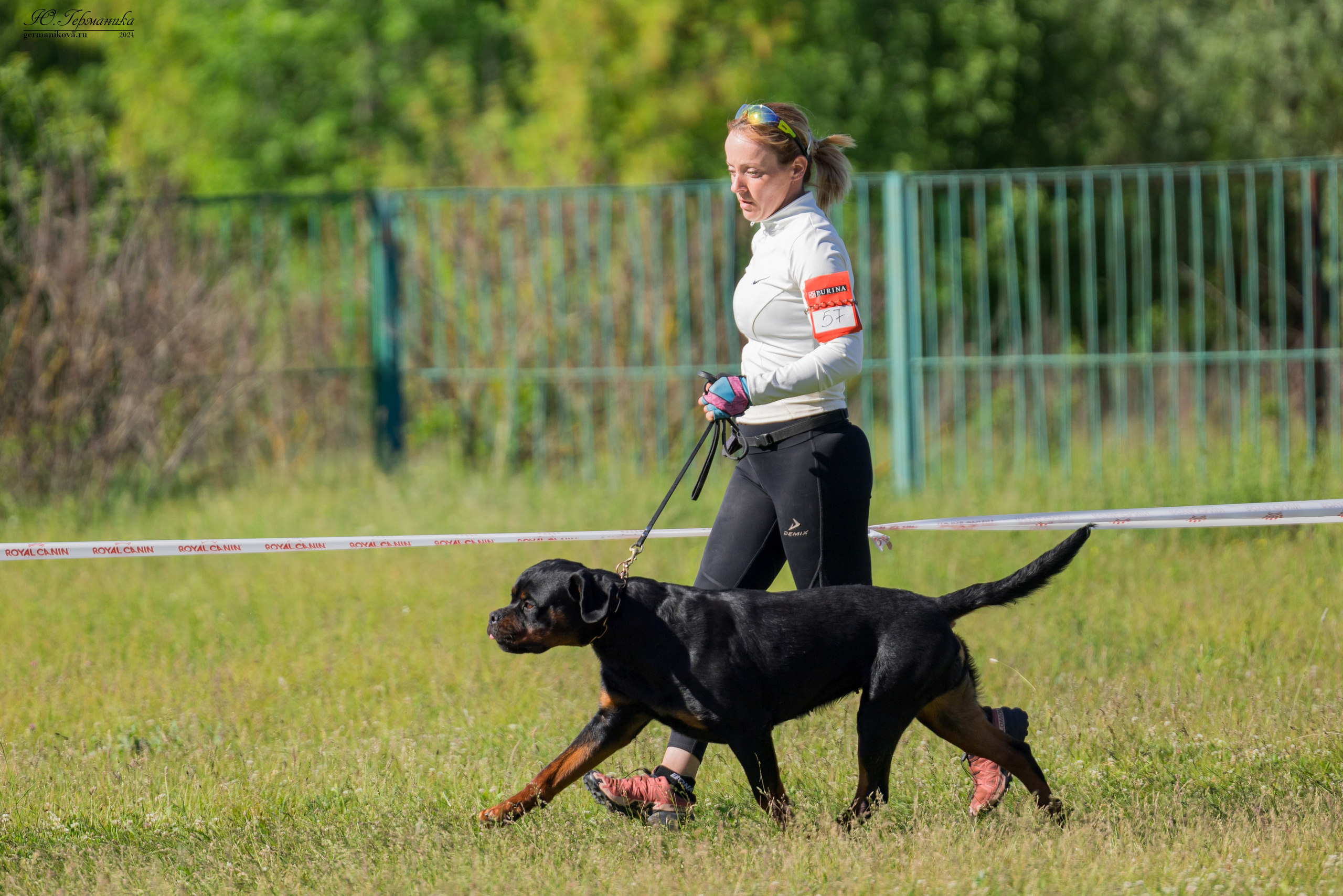Воронеж моно ротвейлеров 25-26.05.2024. Фотограф-анималист Юлия Германика