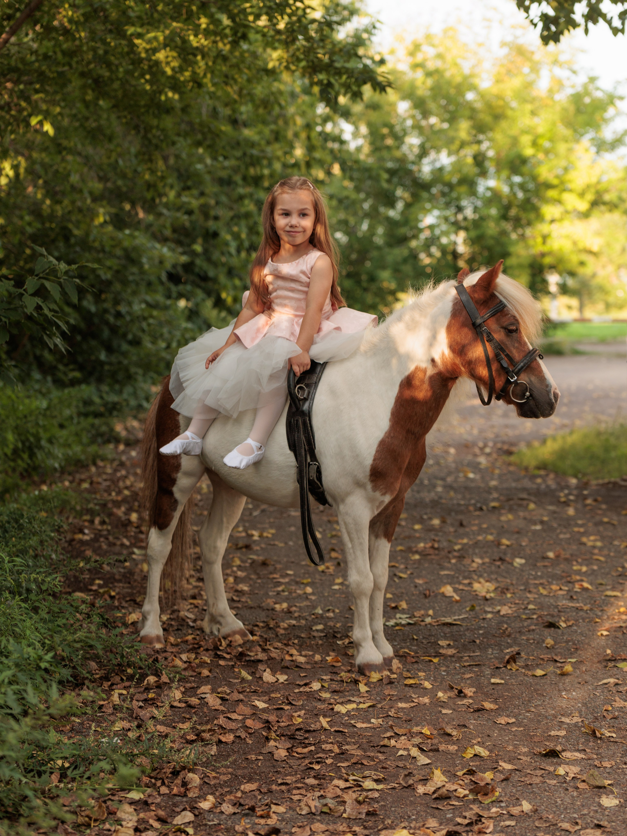 КрылатыйПони. Конный фотограф в Красноярске — Любовь Похабова