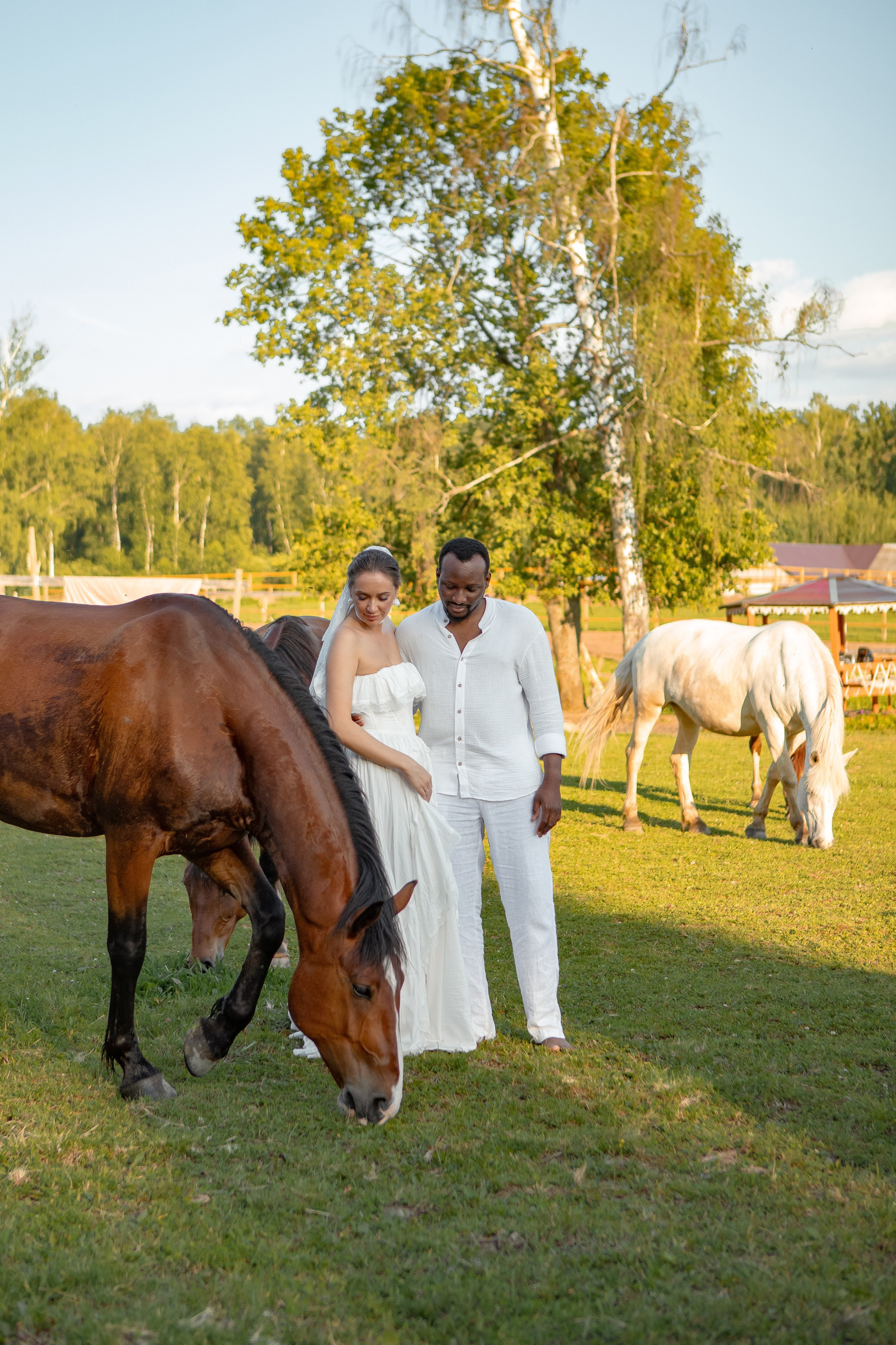 Необычная свадебная фотосессия в Москве с лошадьми