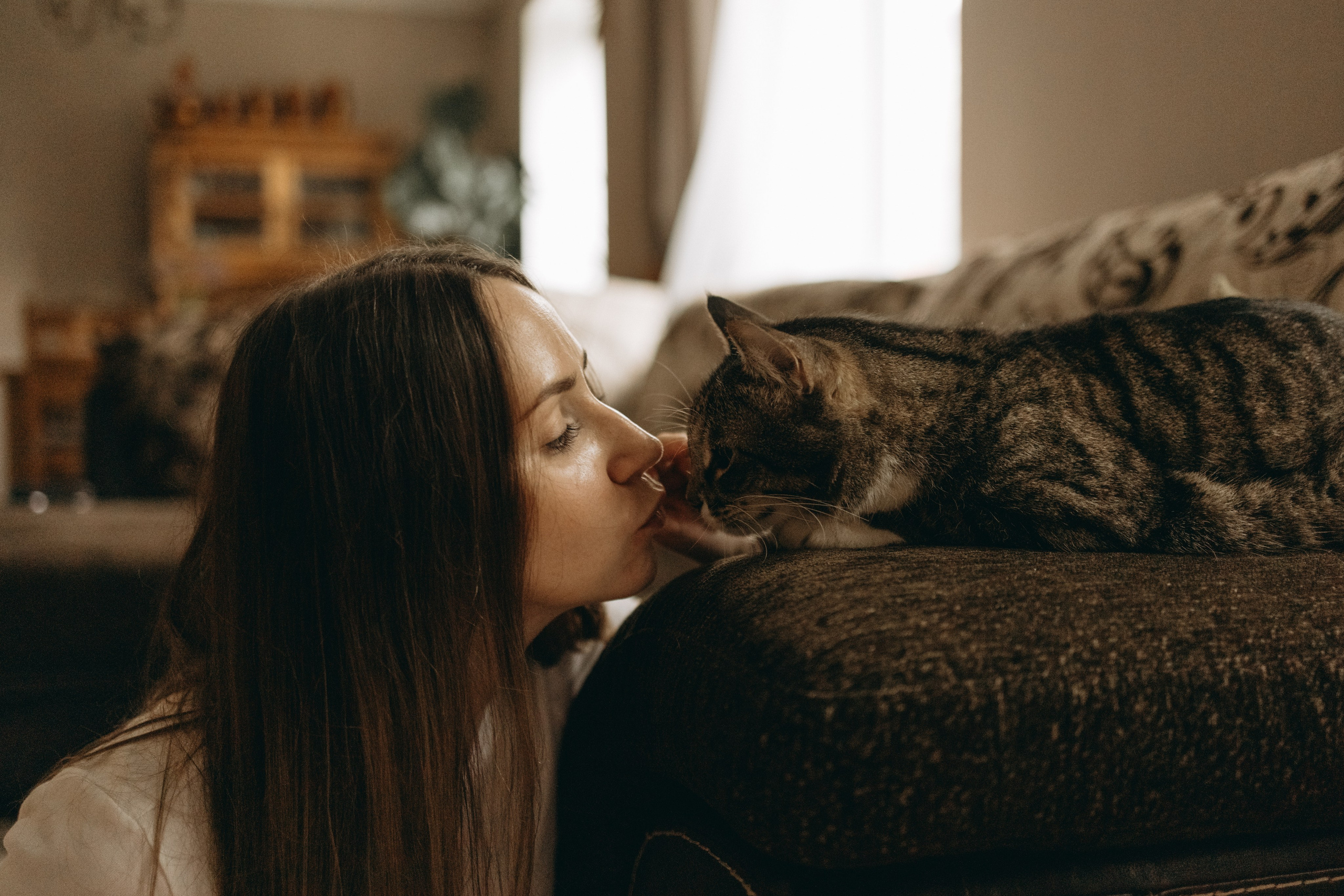 Софа и ее хвостики. Фотограф — Анималист | Санкт-Петербург