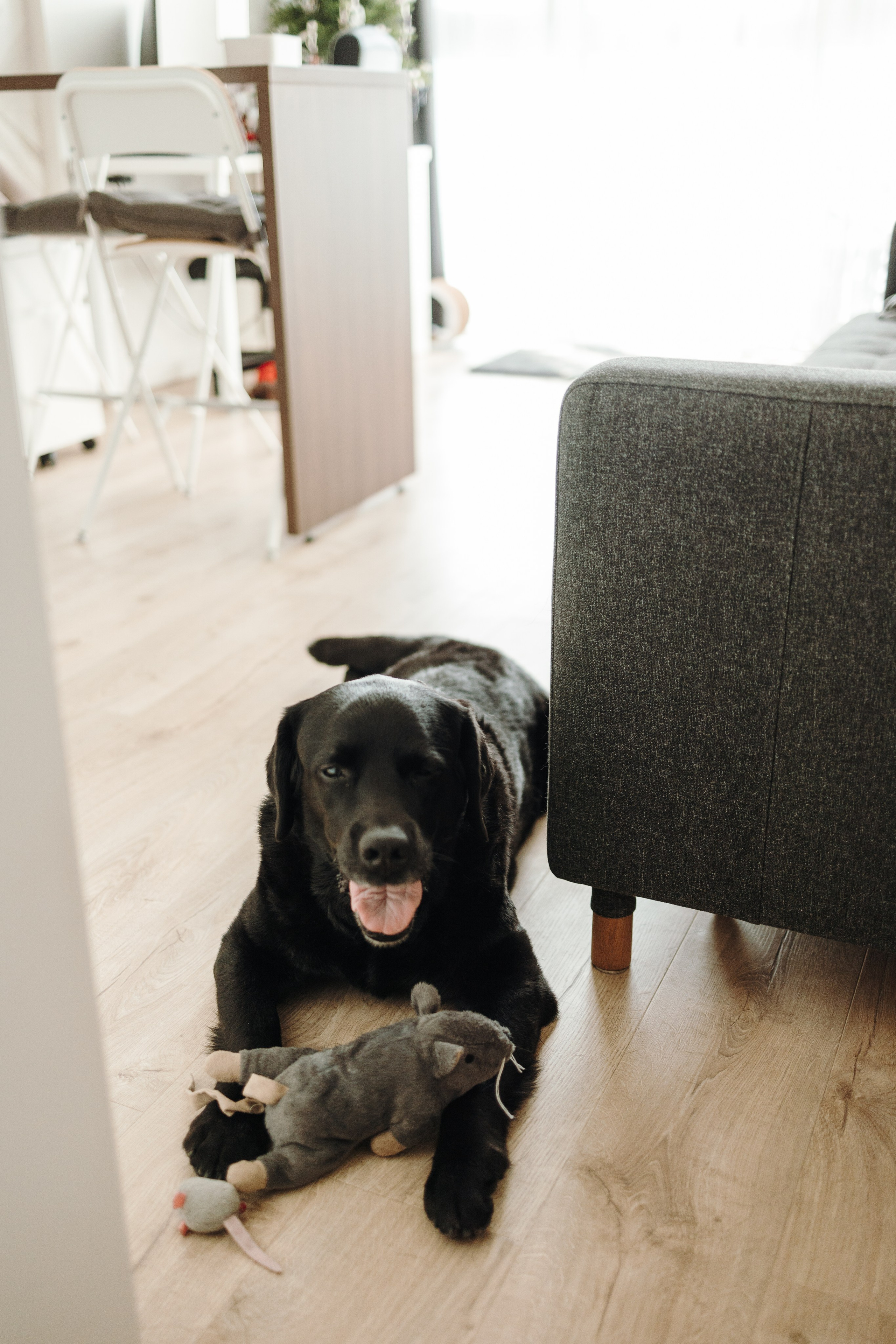 Таня и ее семья. Фотограф — Анималист | Санкт-Петербург