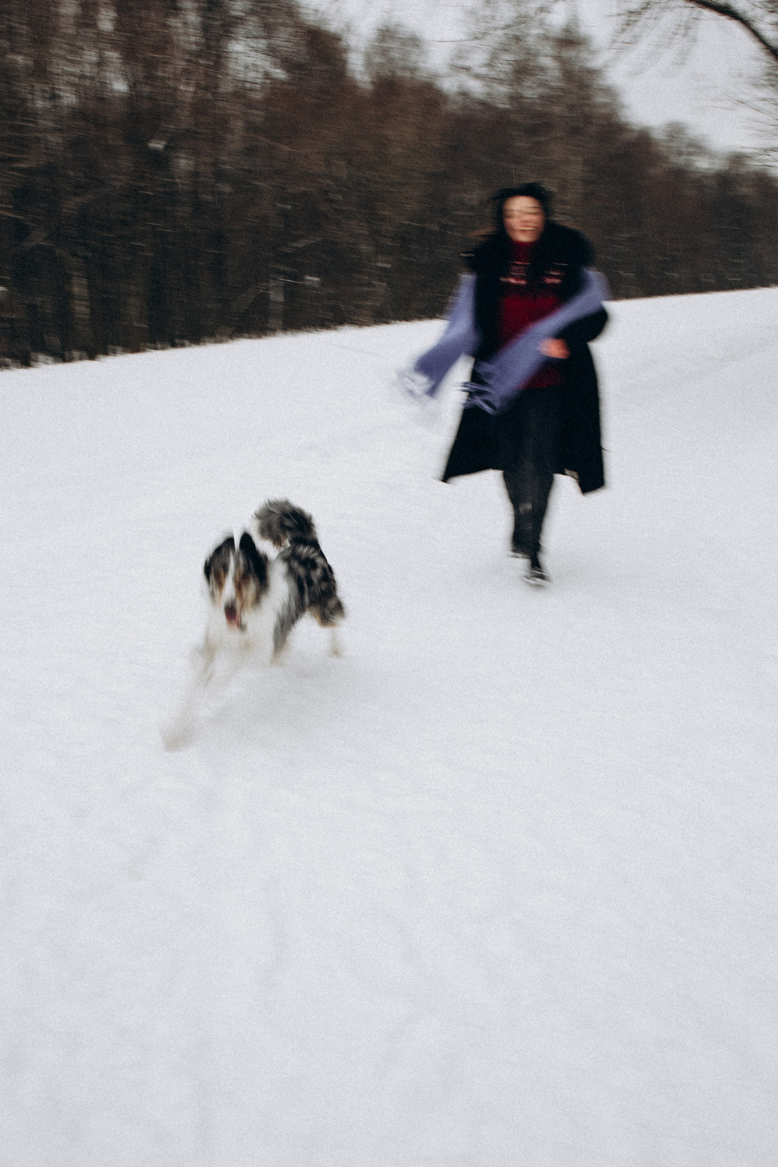 Настя и Тор. Фотораф — анималист Мария Шистка