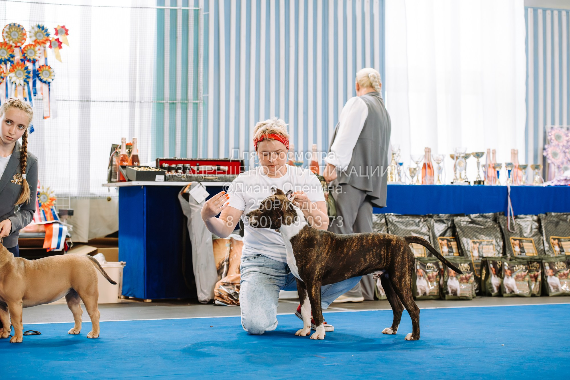 Национальная выставка собак всех пород ранга САС-IKU «Кубок Красноярск. Фотограф Диана Оленина Красноярск / Братск