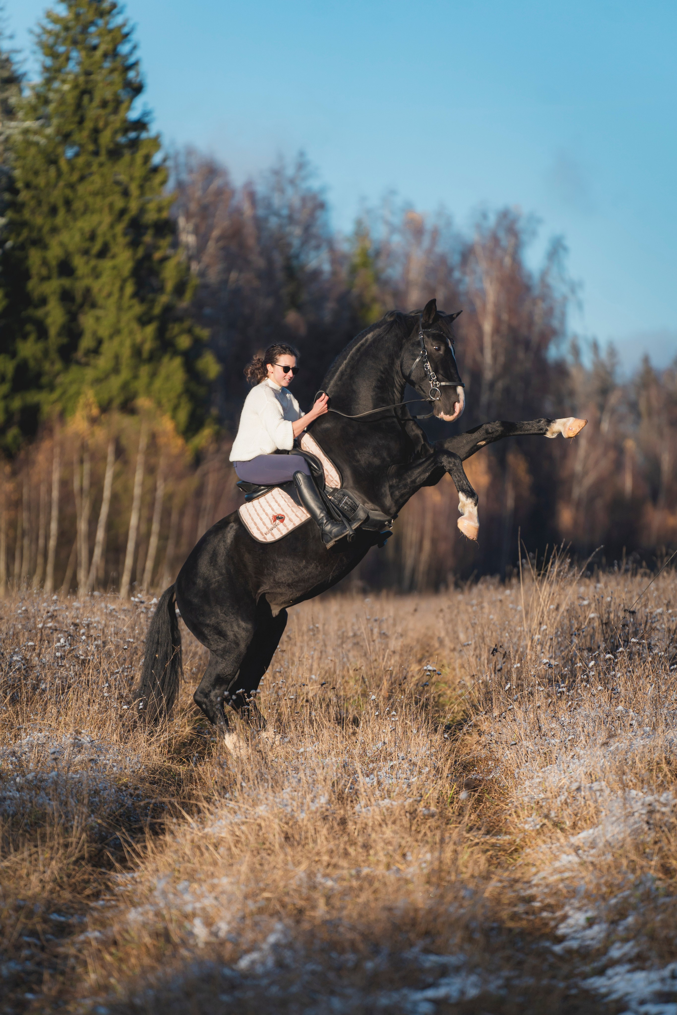 Екатерина, Гром и Маршал. Фотограф в Москве Ленарская Дарья