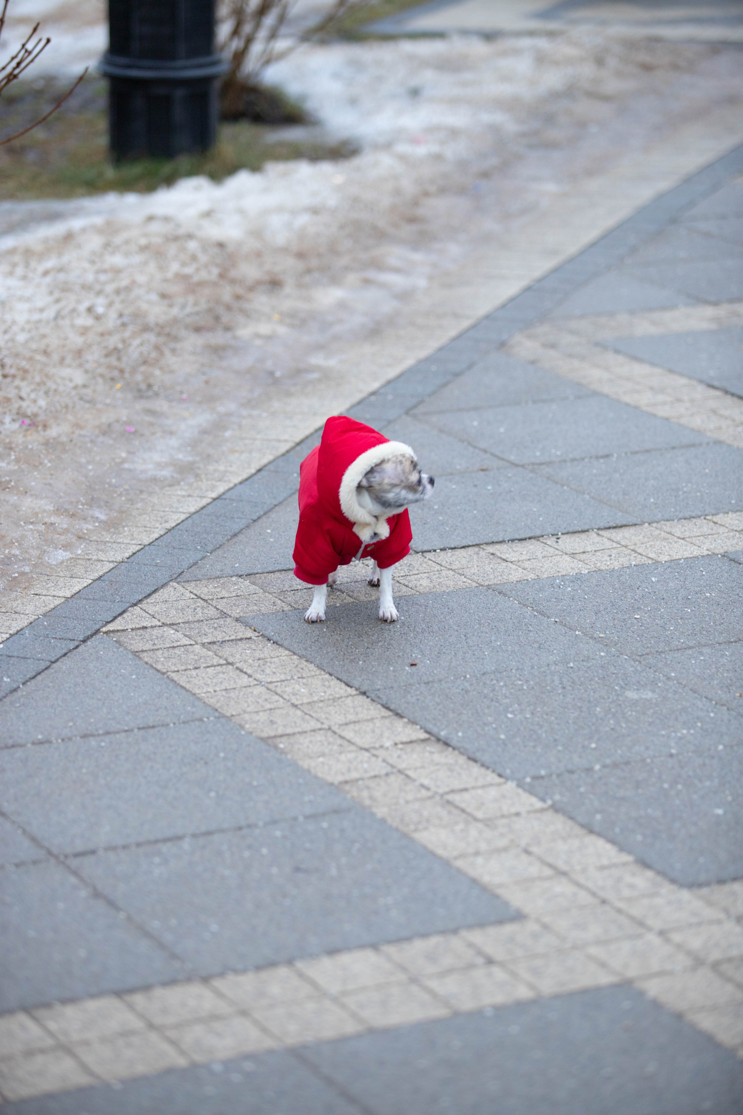 5 верст/декабрь. Александра Мельниченко/ Бегающий фотограф