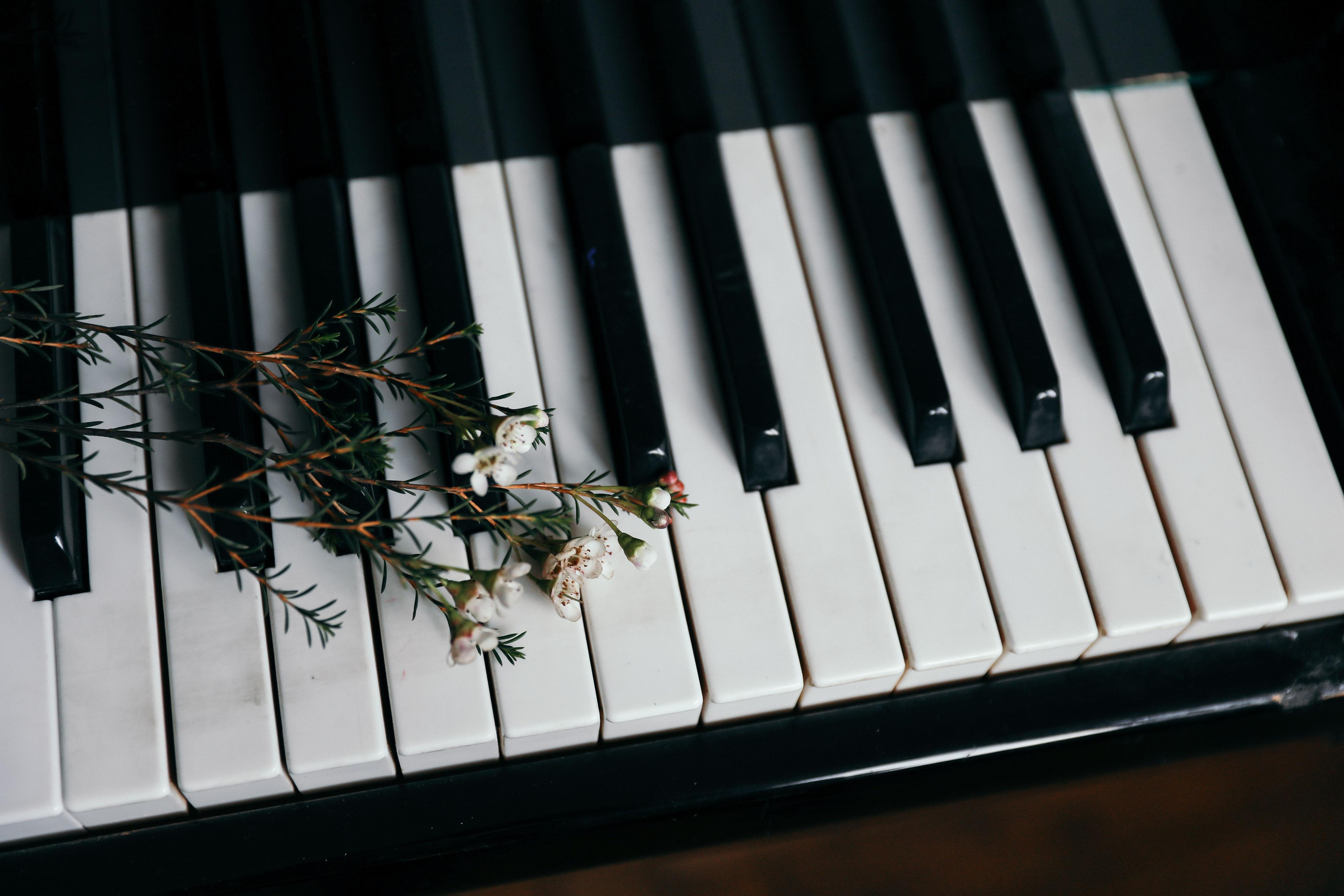 Софья и Андрей Ливадия. Свадебный и семейный фотограф в Севастополе и Крыму Анастасия Сураева