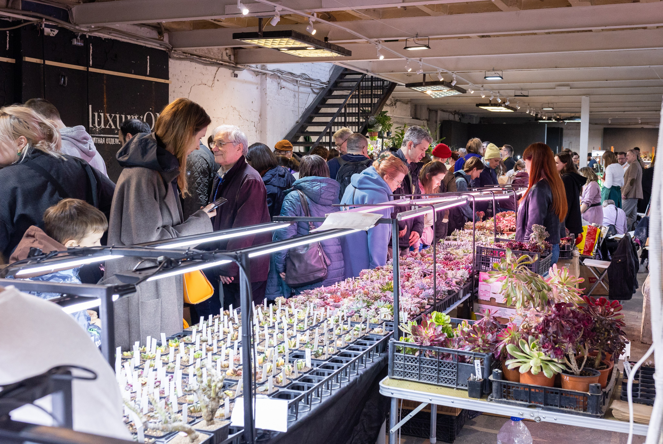 Meza market 2024. Александра Куликова фотограф, Москва