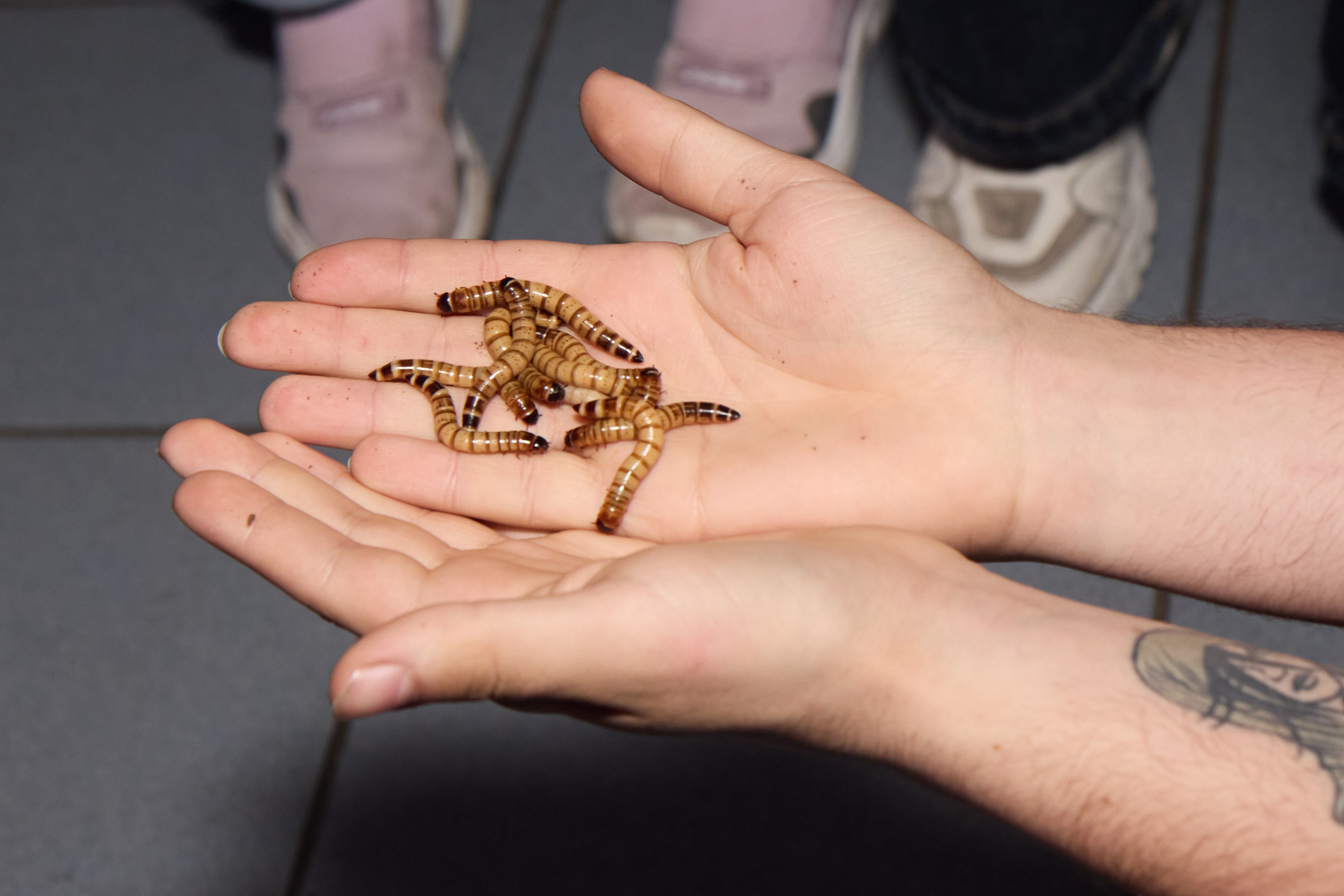 Репортажи. Фотограф Великий Новгород Татьяна Чиглинцева