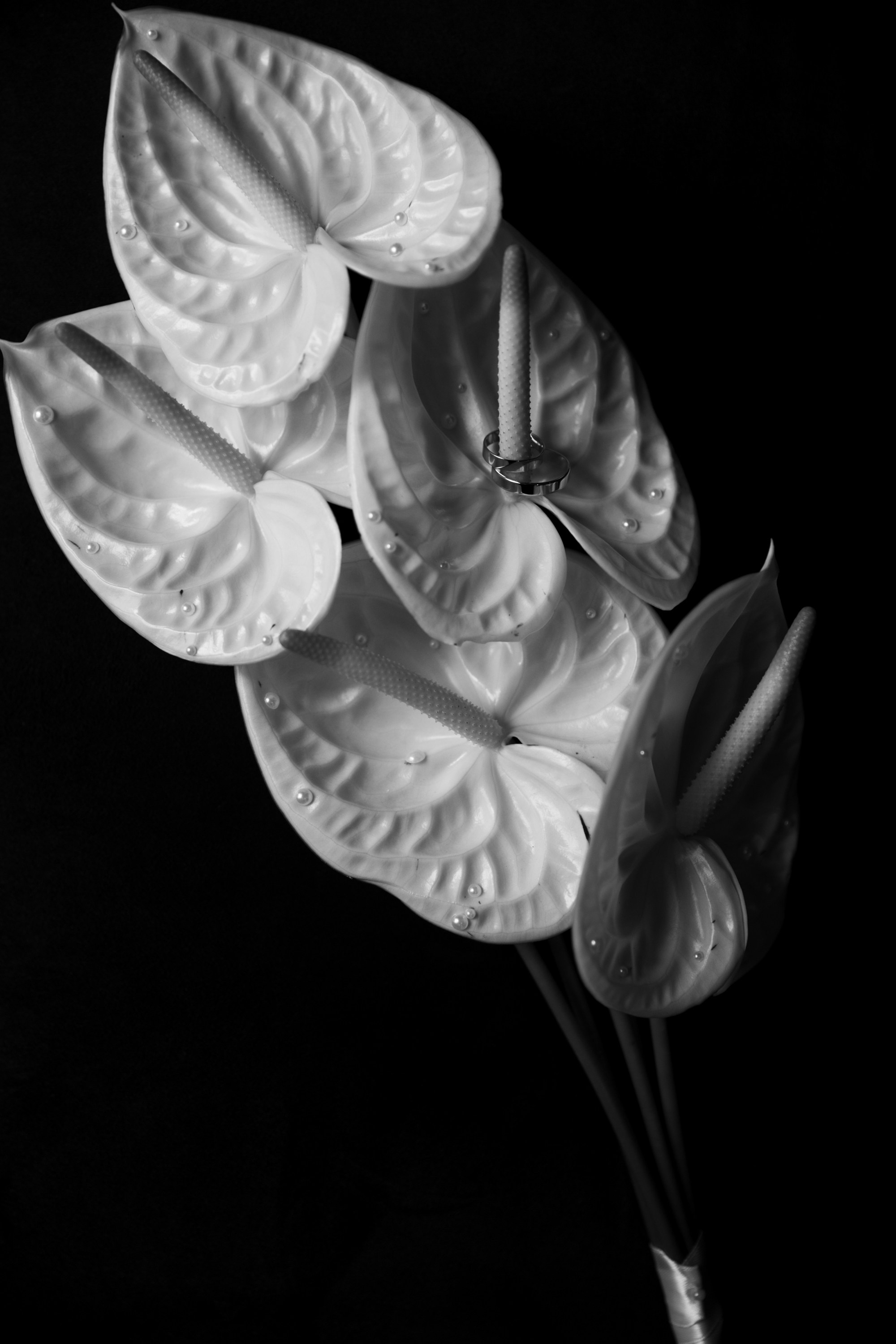 Аля и Саша — день росписи. Фотограф Сергиев Посад Москва Хованская Екатерина