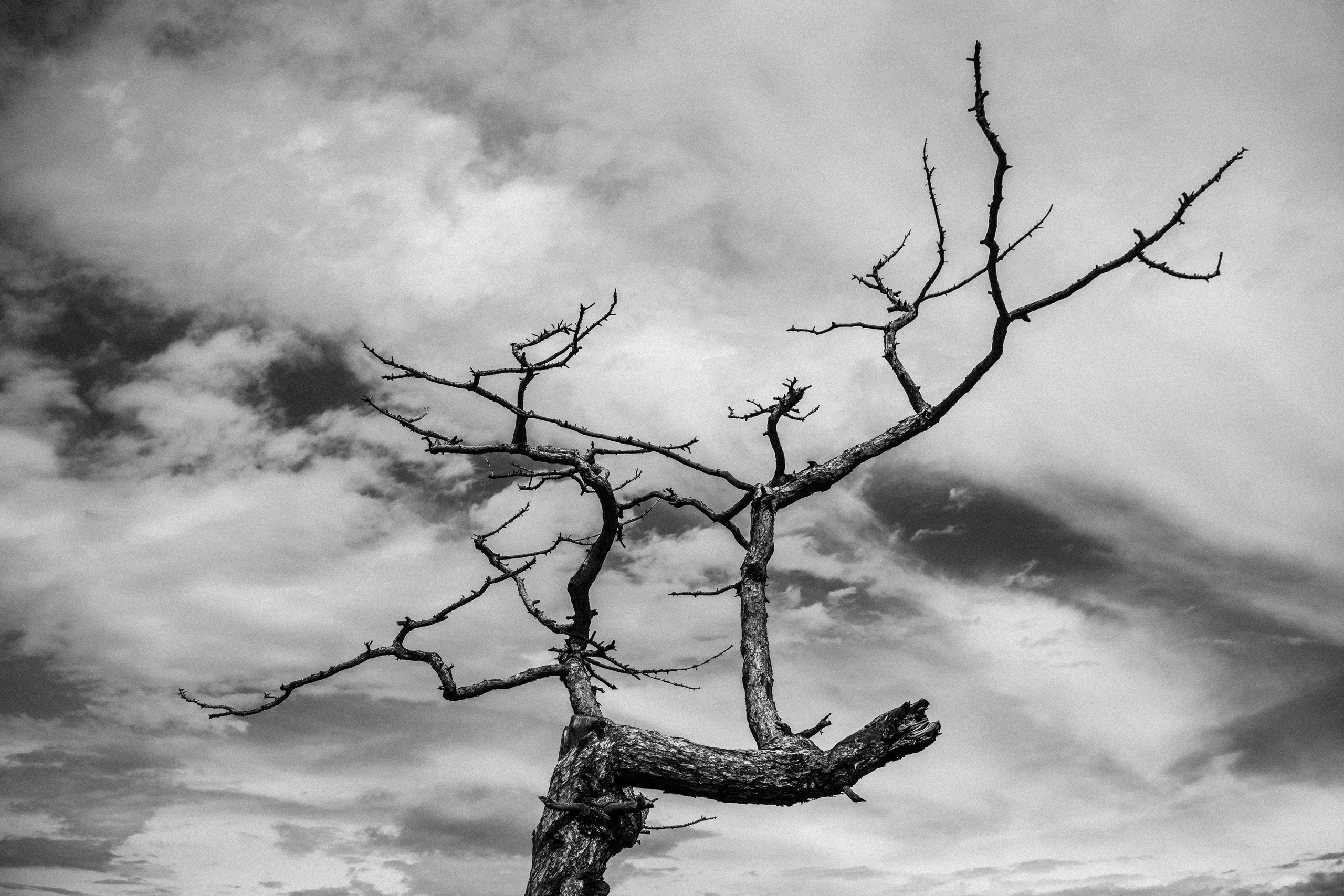 Репортажный фотограф Владимир Никонов