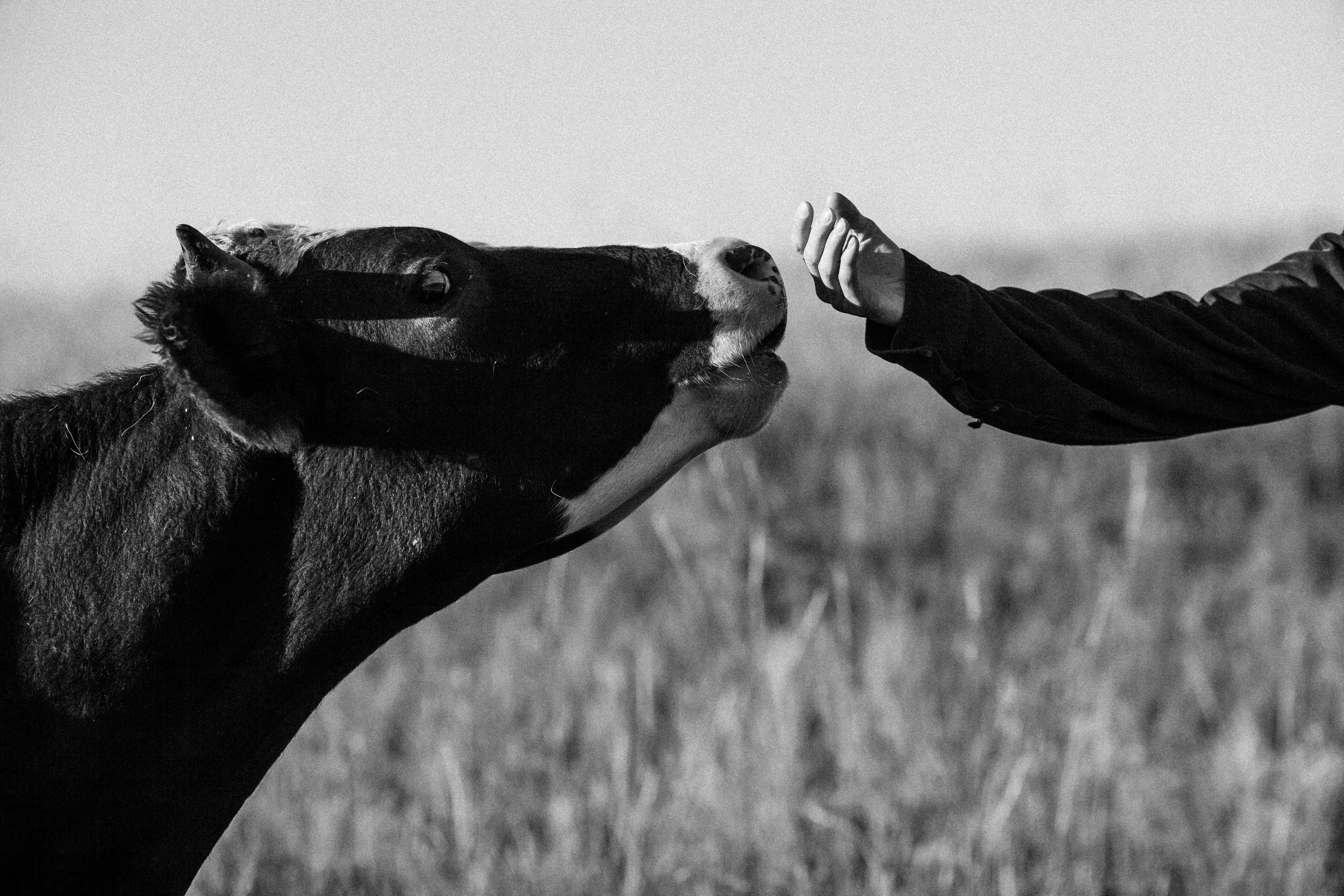 Репортажный фотограф Владимир Никонов