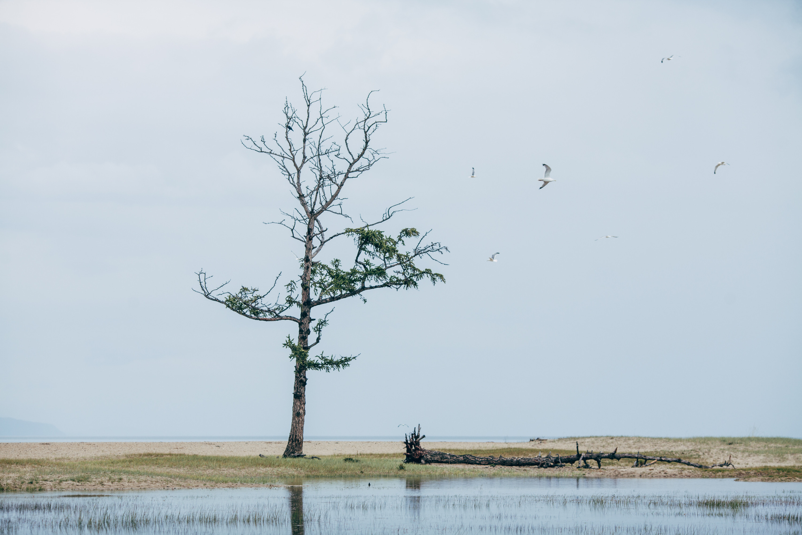 RadiSveta Baikal. 2021. Репортажный фотограф Владимир Никонов