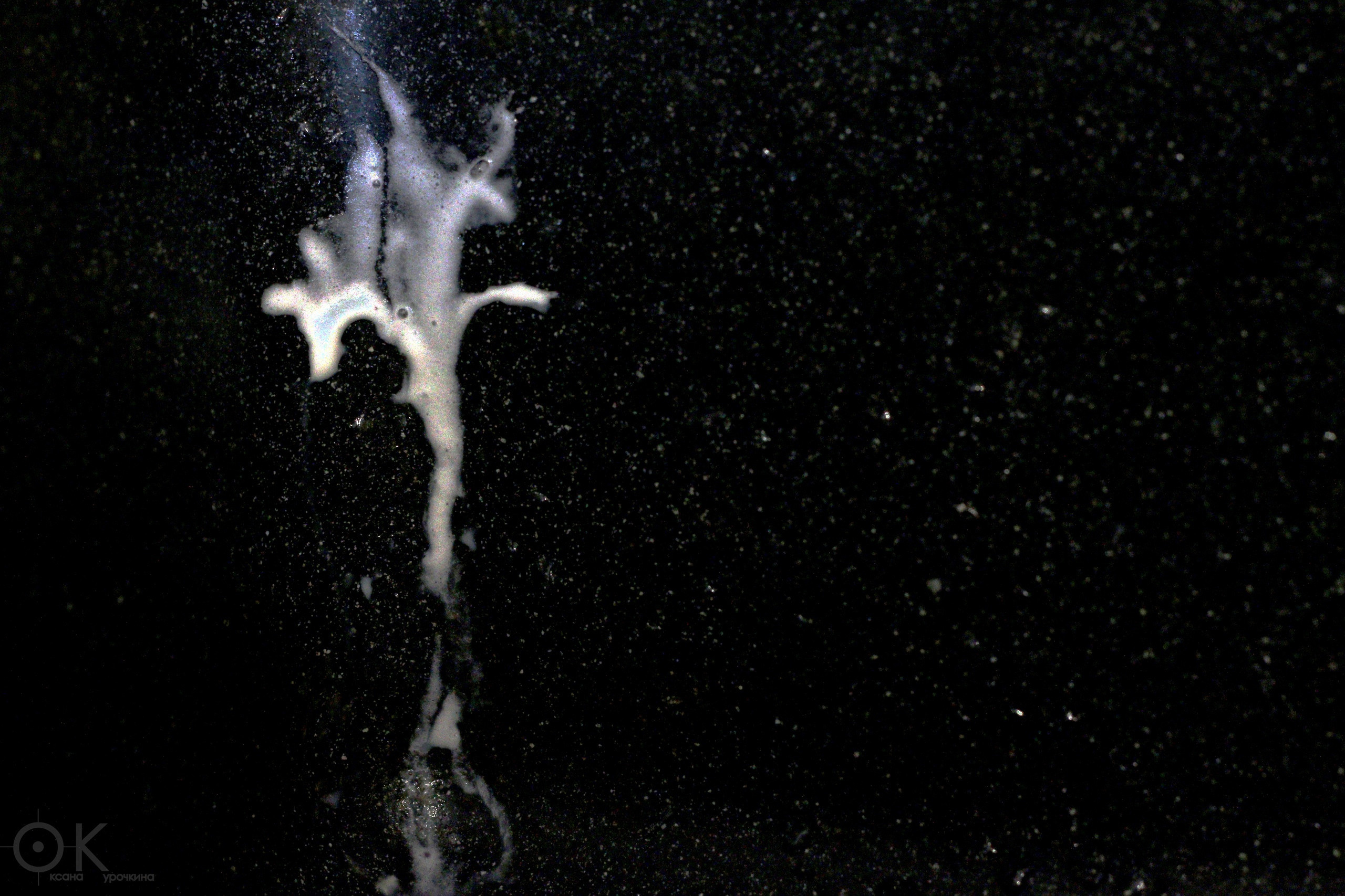 Концептуальная съемка. Предметный и контентный фотограф в Москве Курочкина Оксана