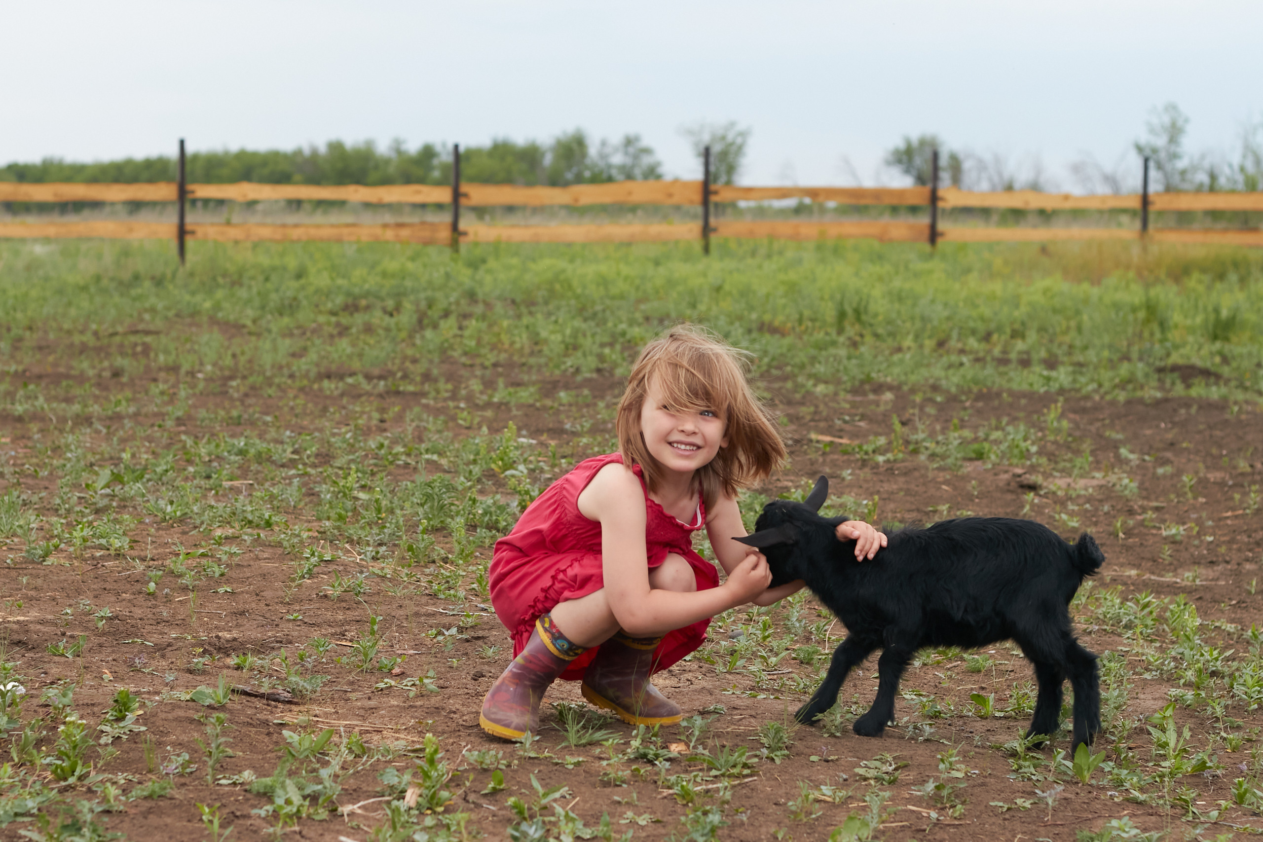 Фермерские продукты. Предметный и контентный фотограф в Москве Курочкина Оксана