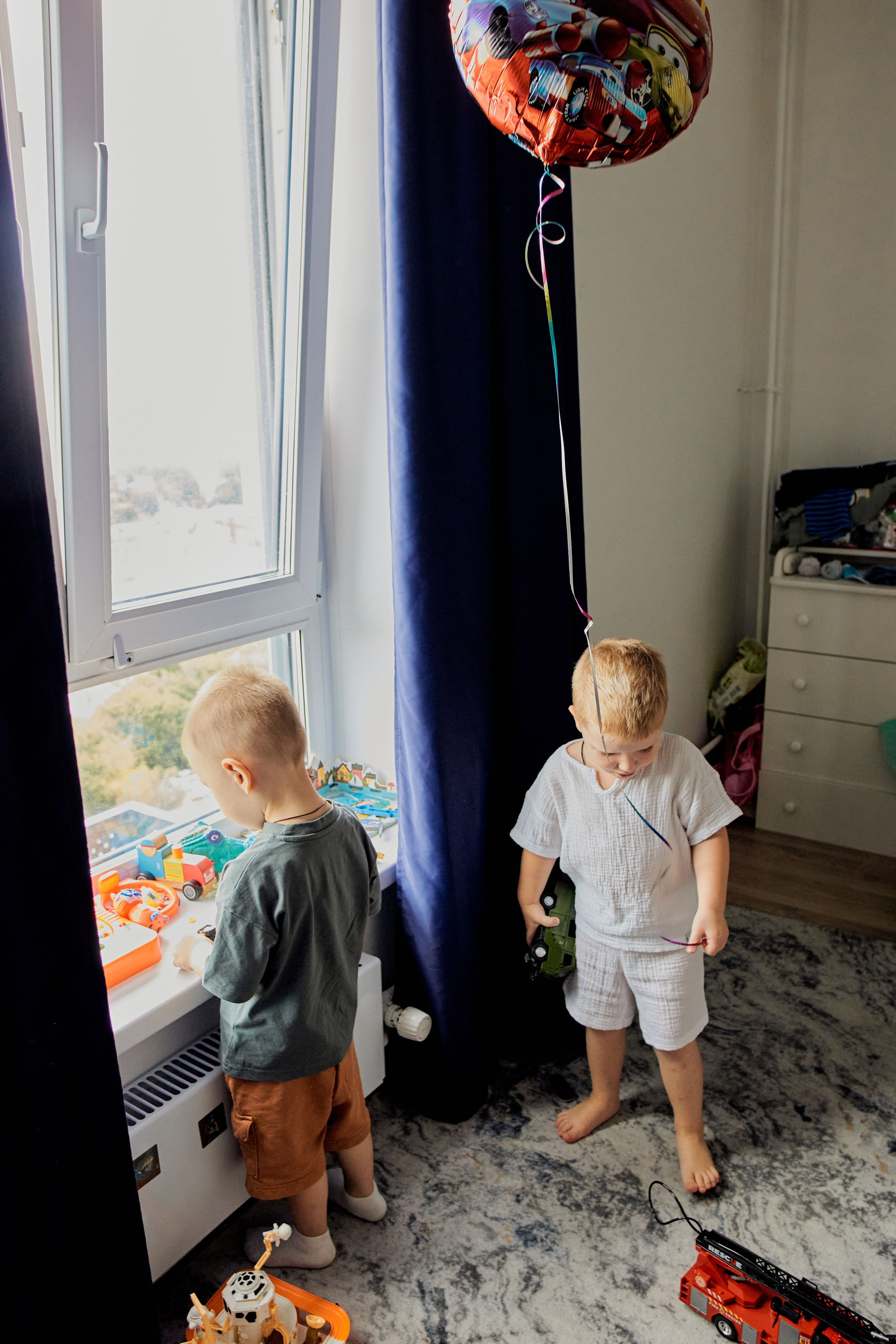 Три кота. Фотограф Москва