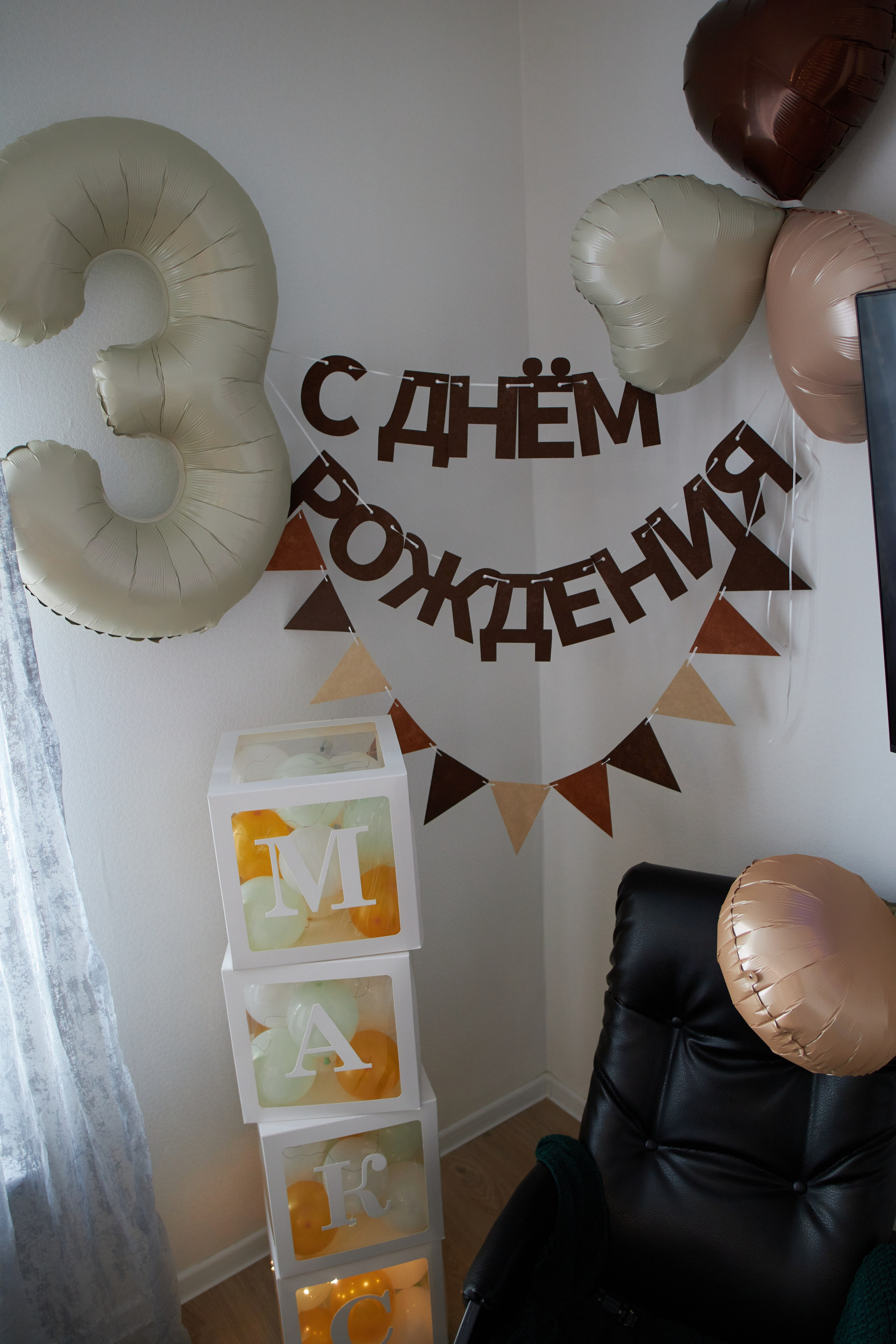 Три кота. Фотограф Москва