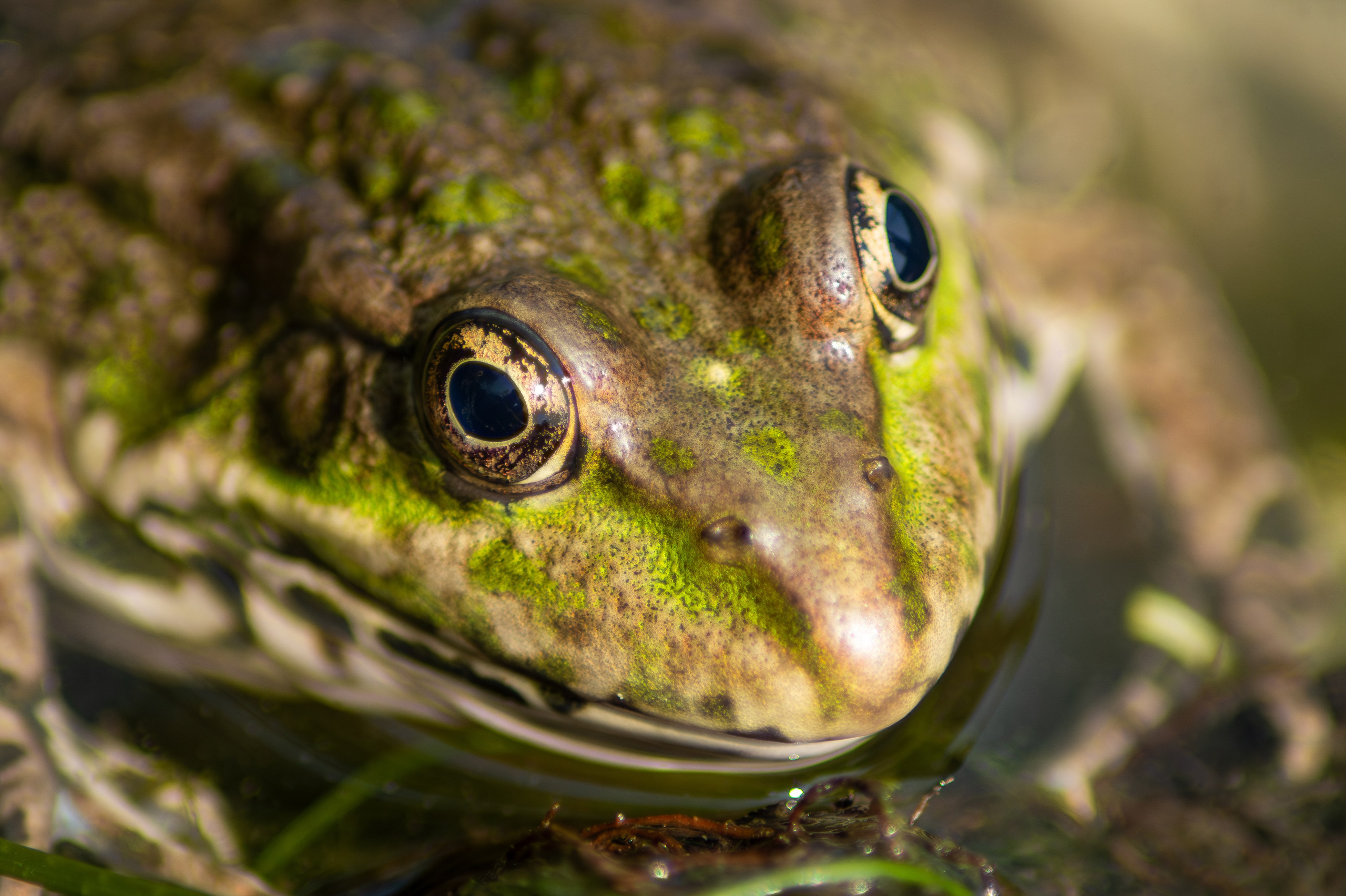 Семинар по переправам 2025