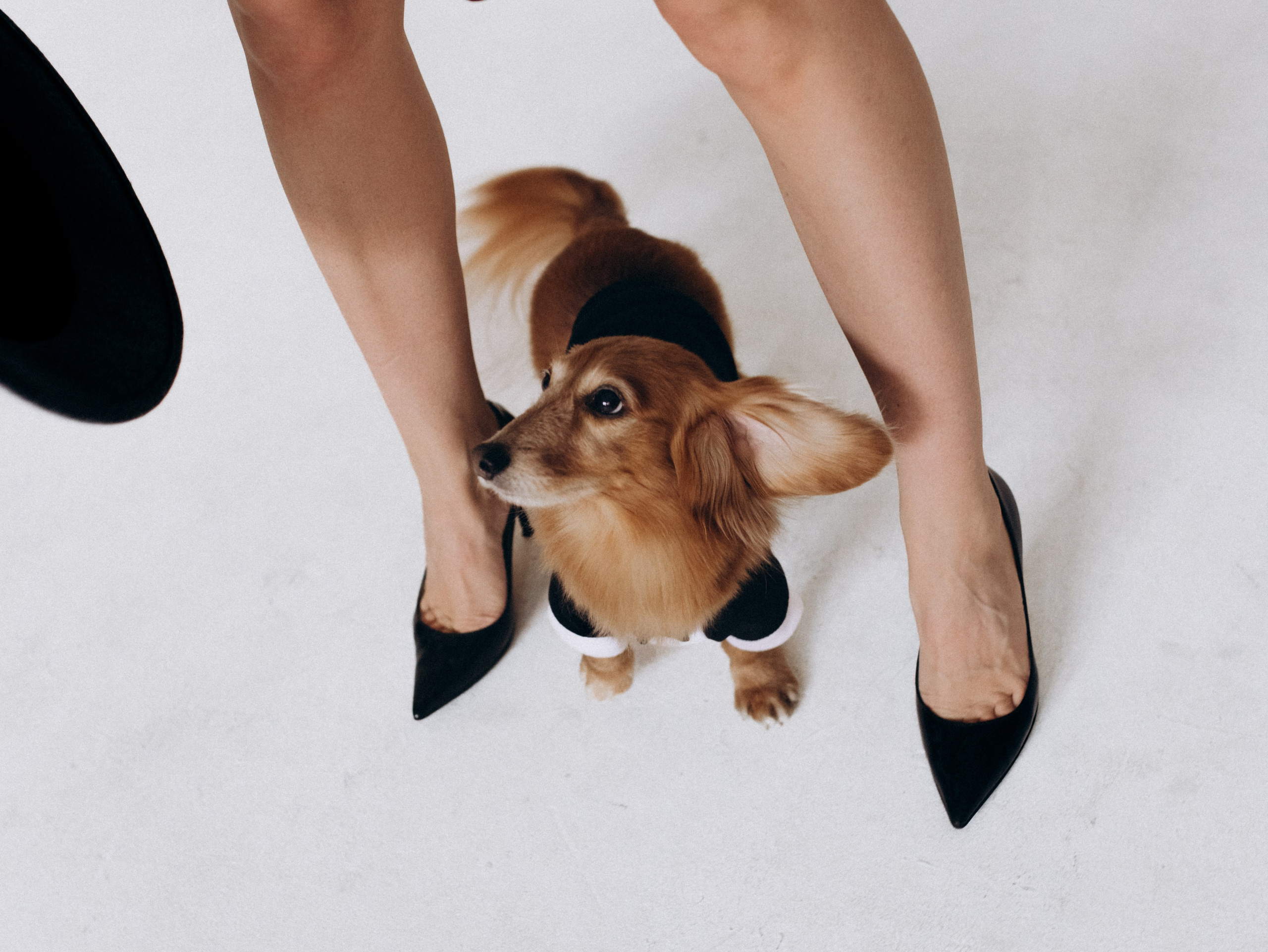 Лимон и Аня. Фотограф-анималист в Москве Кириллова Татьяна