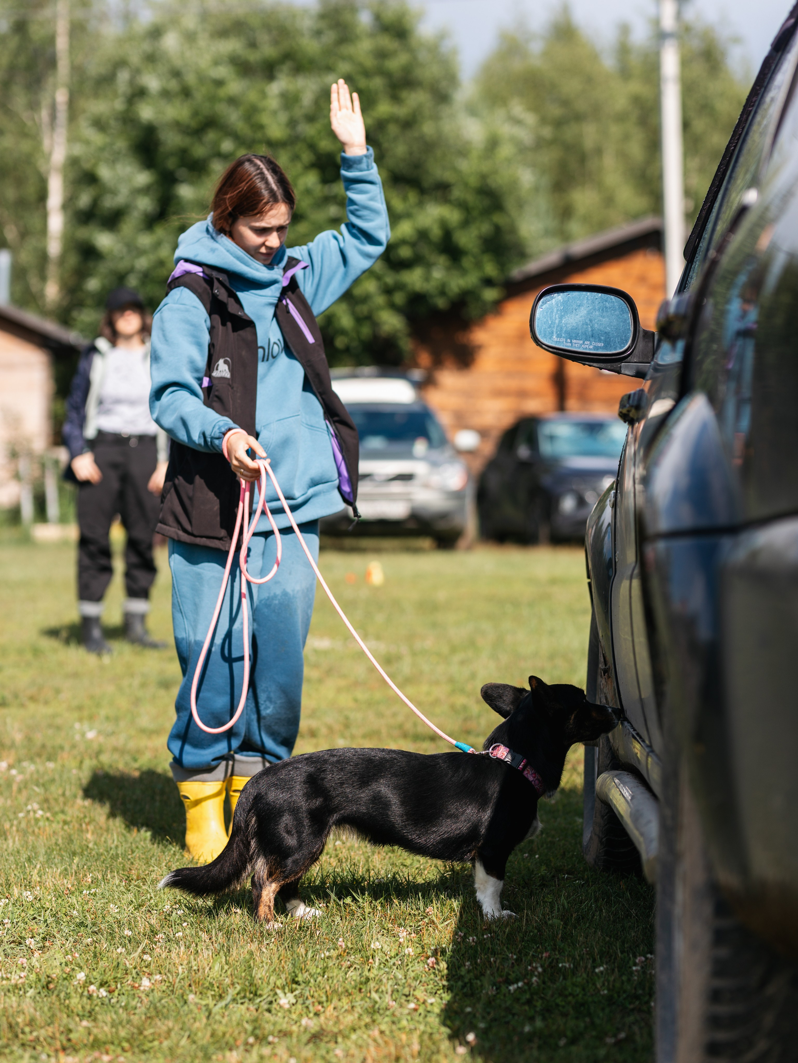 Лагерь ноузворк. Фотограф-анималист в Москве Кириллова Татьяна