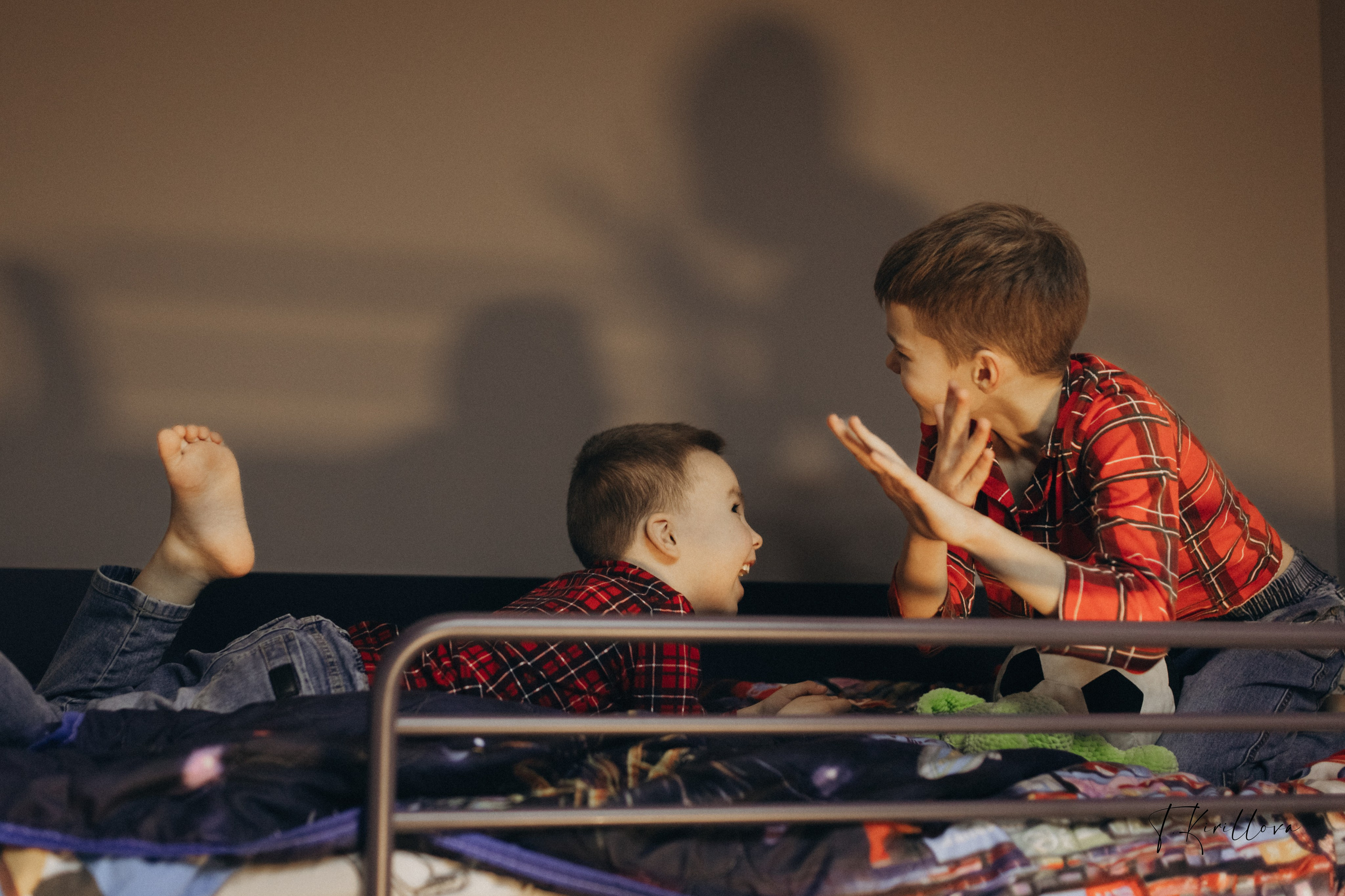 Новогоднее утро. Фотограф-анималист в Москве Кириллова Татьяна