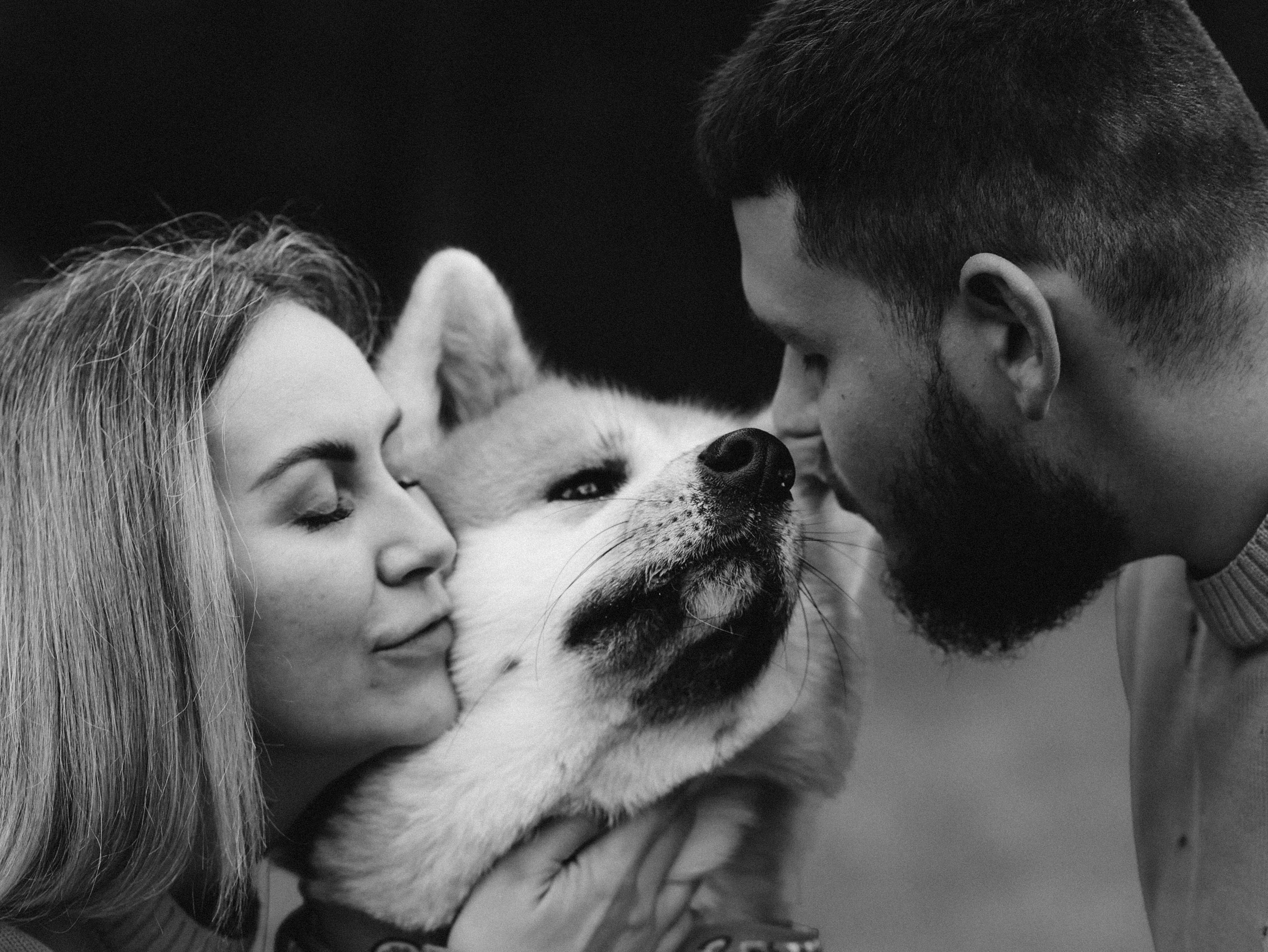 Гранд, Вика и Степан. Фотограф-анималист в Москве Кириллова Татьяна