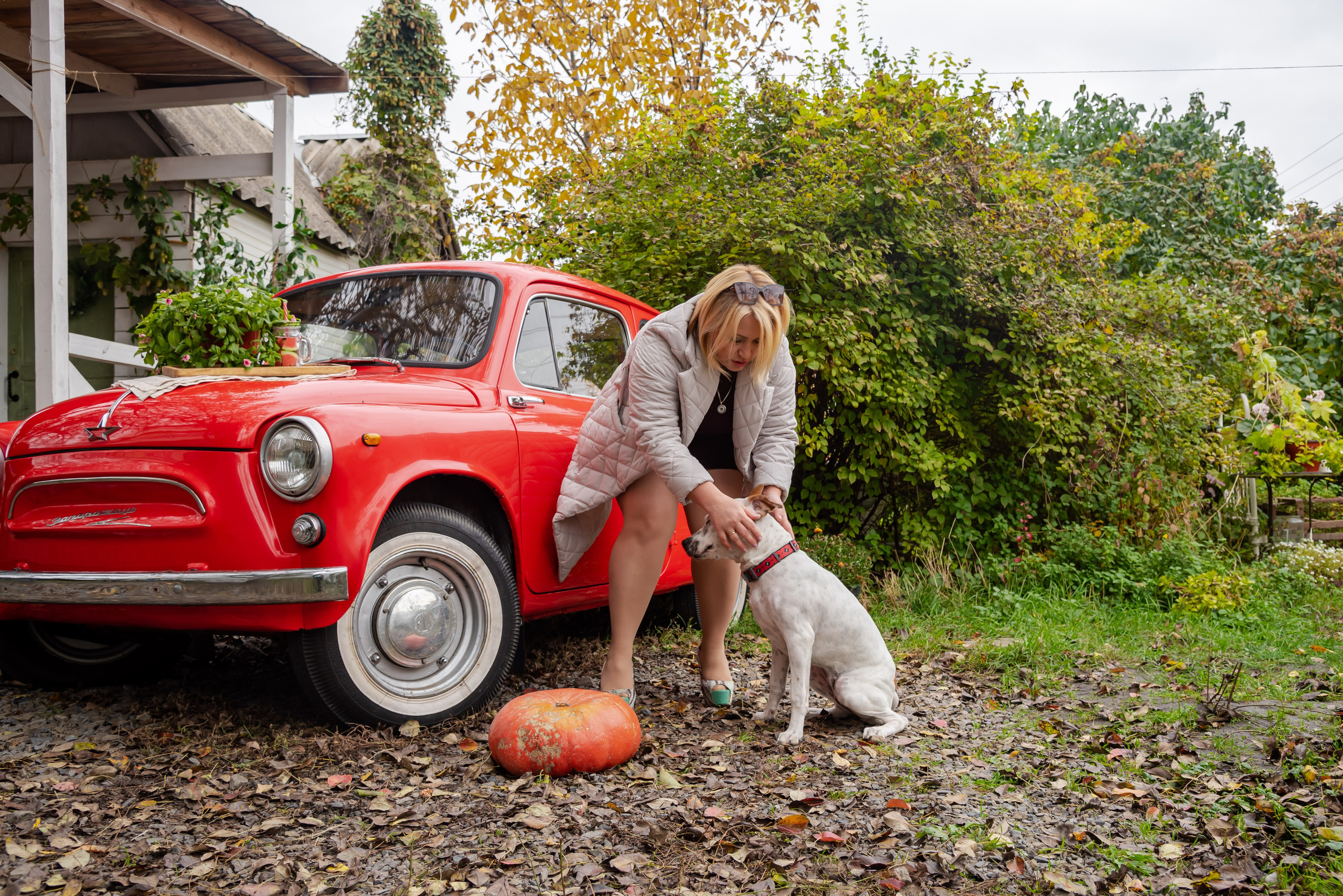 Авакадо. Фотограф Галина Нестерова