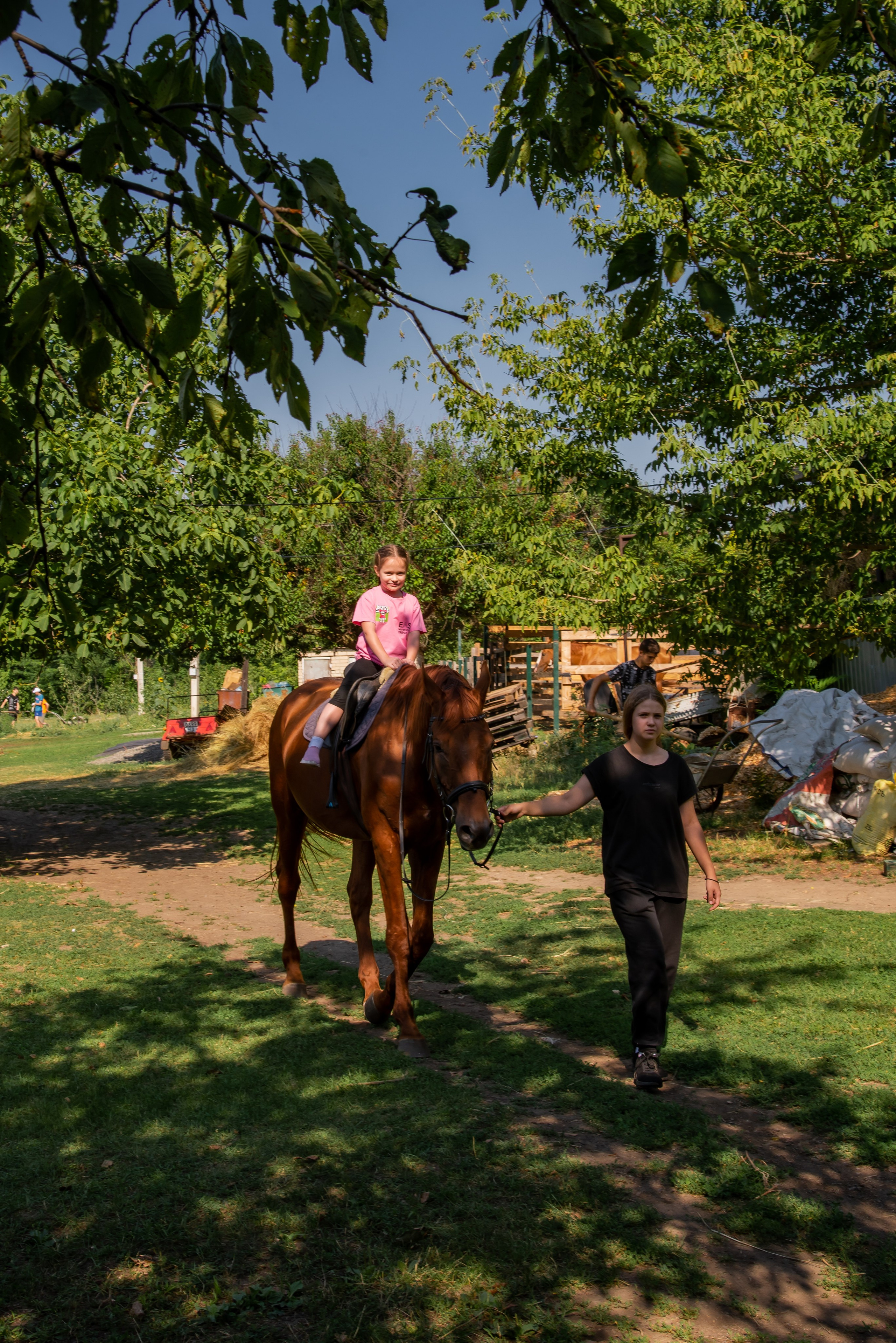 Конная прогулка. Фотограф Галина Нестерова