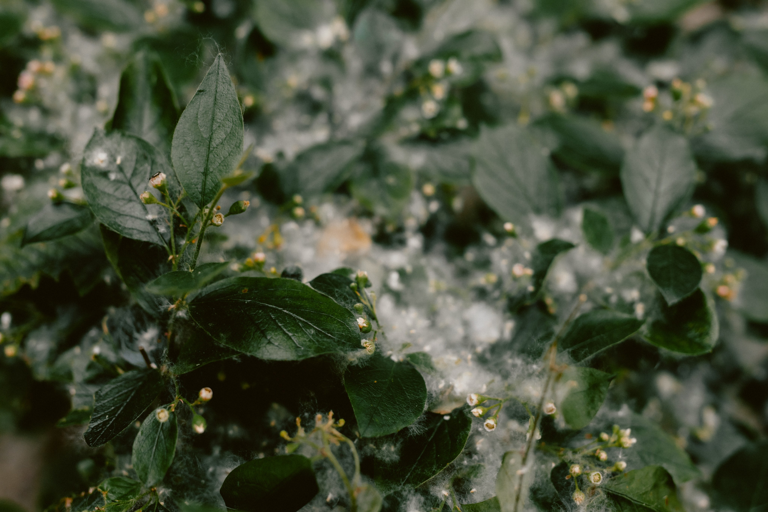 Баскетбол на крыше. Варвара Синицына: семейный фотограф в Москве
