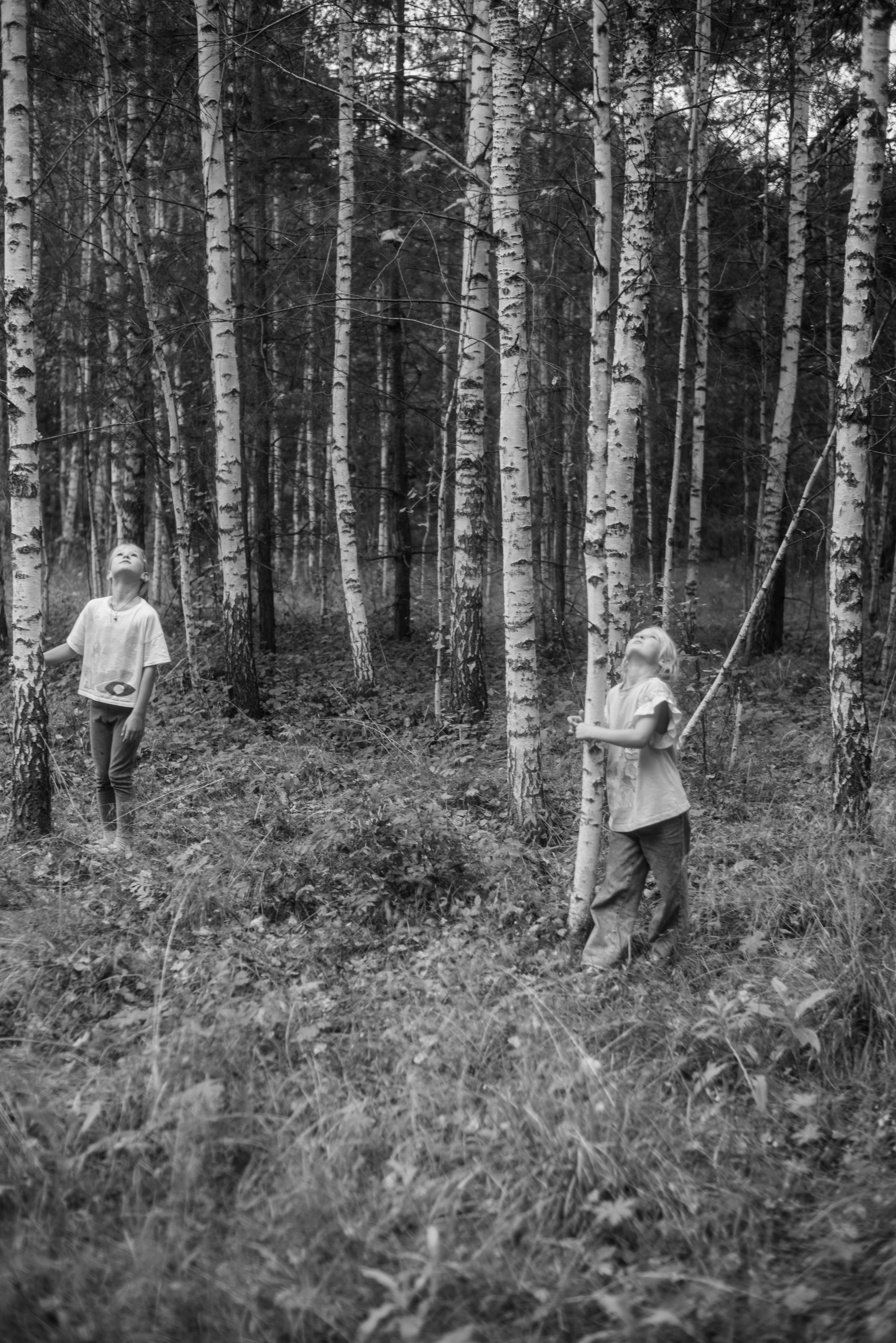 Детство Таи, Зои и Фани. Детский и семейный фотограф в Новосибирске Саша Дорошенко