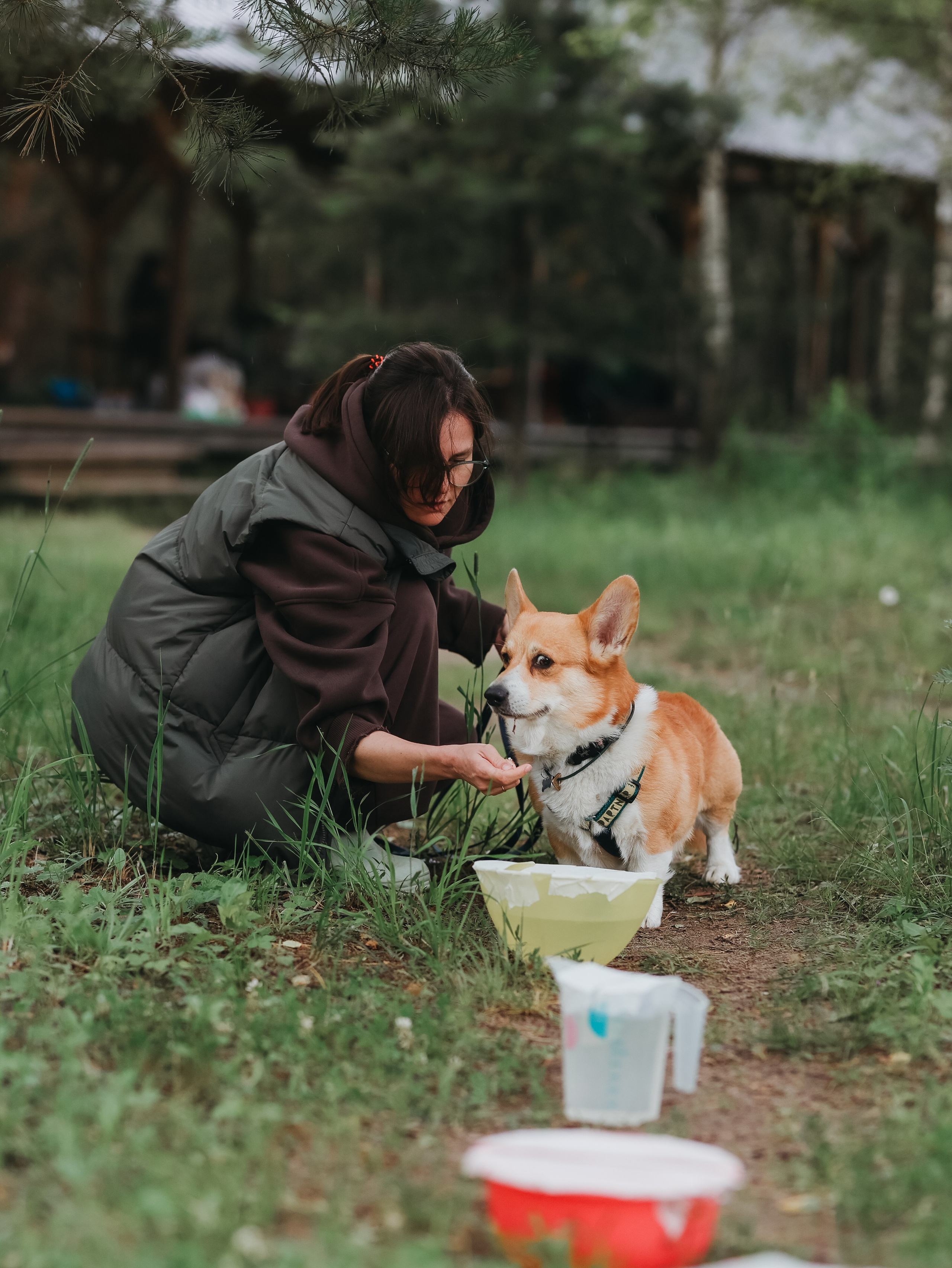 Лагерь ноузворк. Фотограф-анималист в Москве Кириллова Татьяна