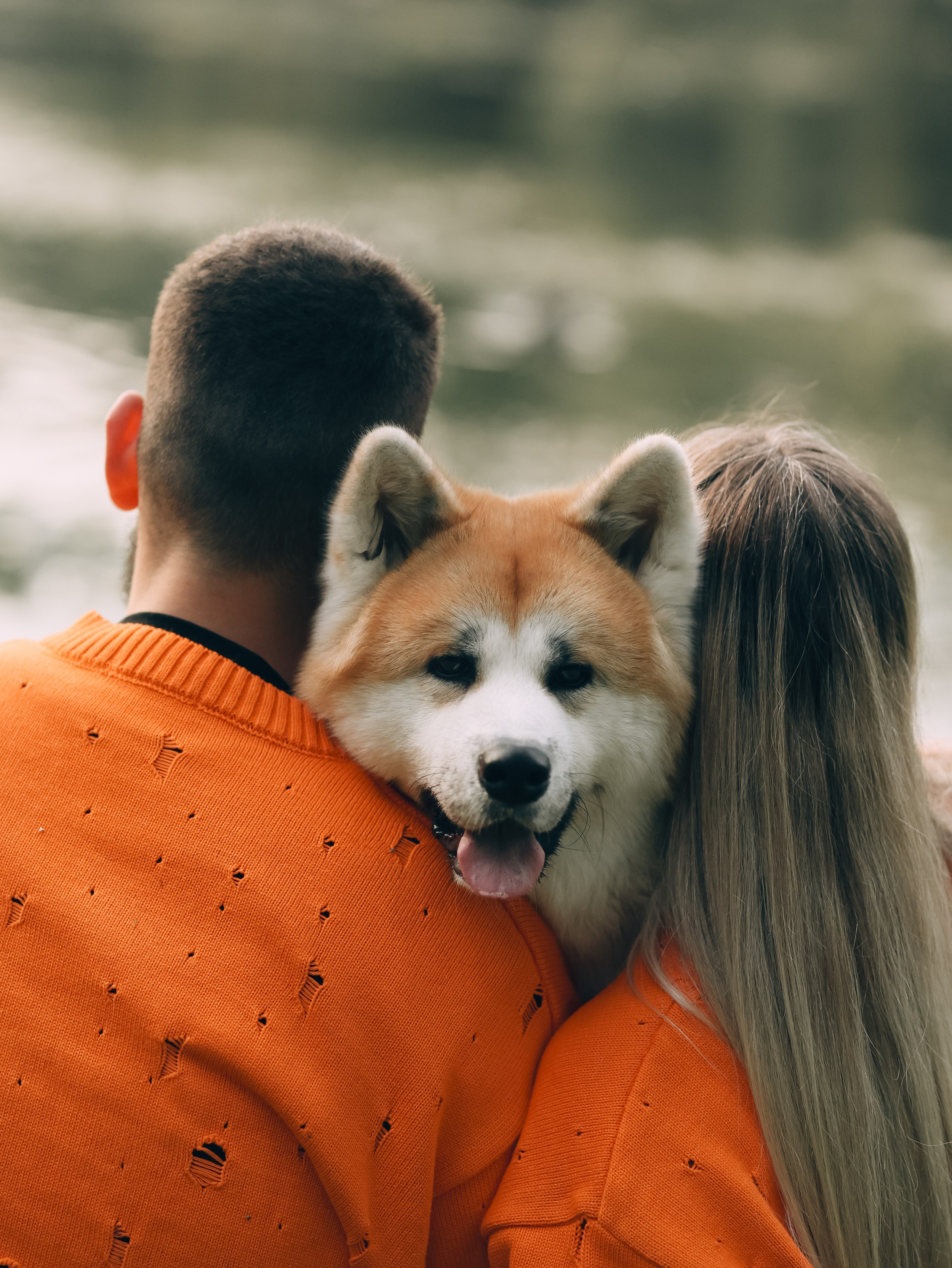 Гранд, Вика и Степан. Фотограф-анималист в Москве Кириллова Татьяна