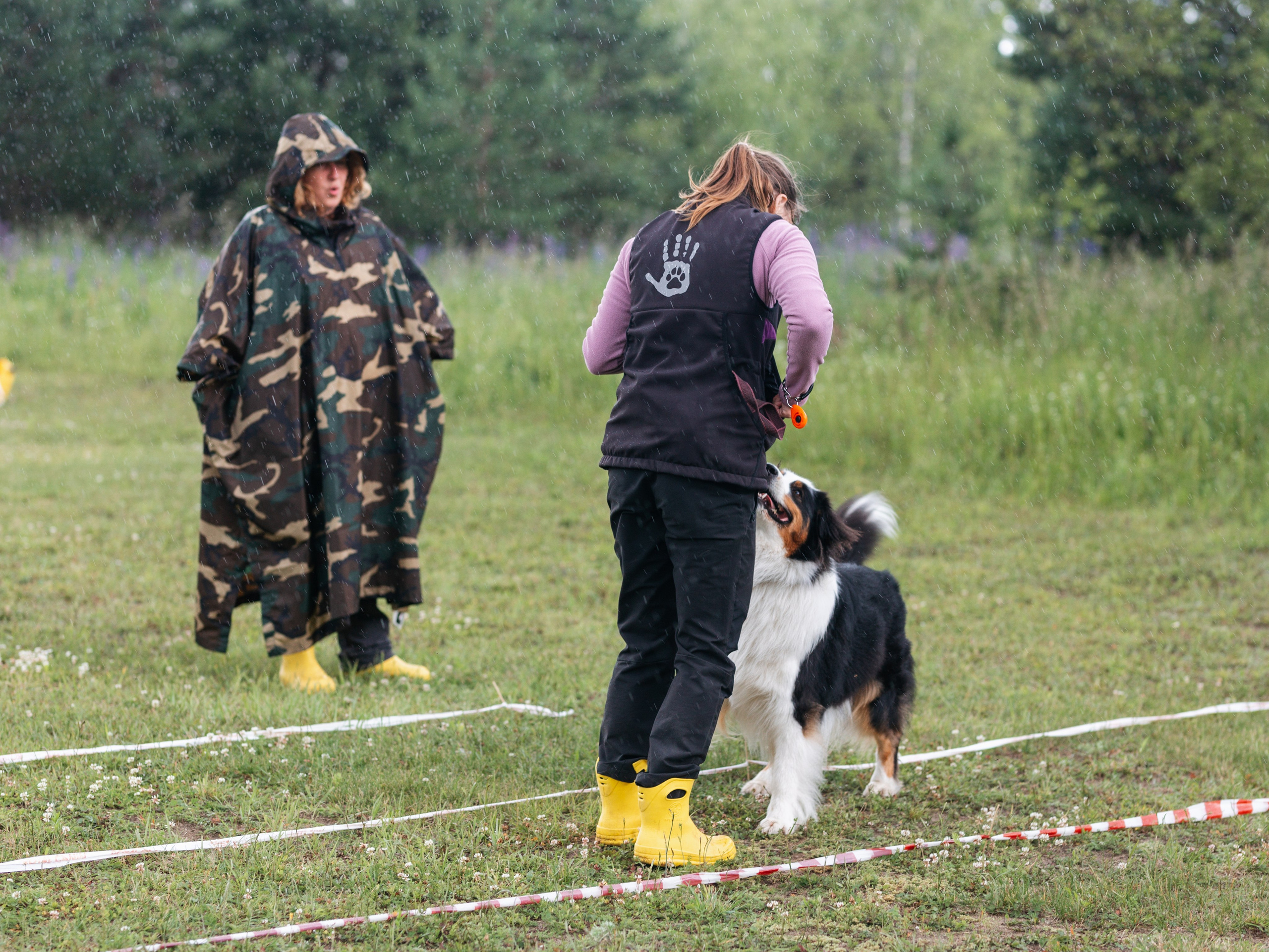 Лагерь ноузворк. Фотограф-анималист в Москве Кириллова Татьяна