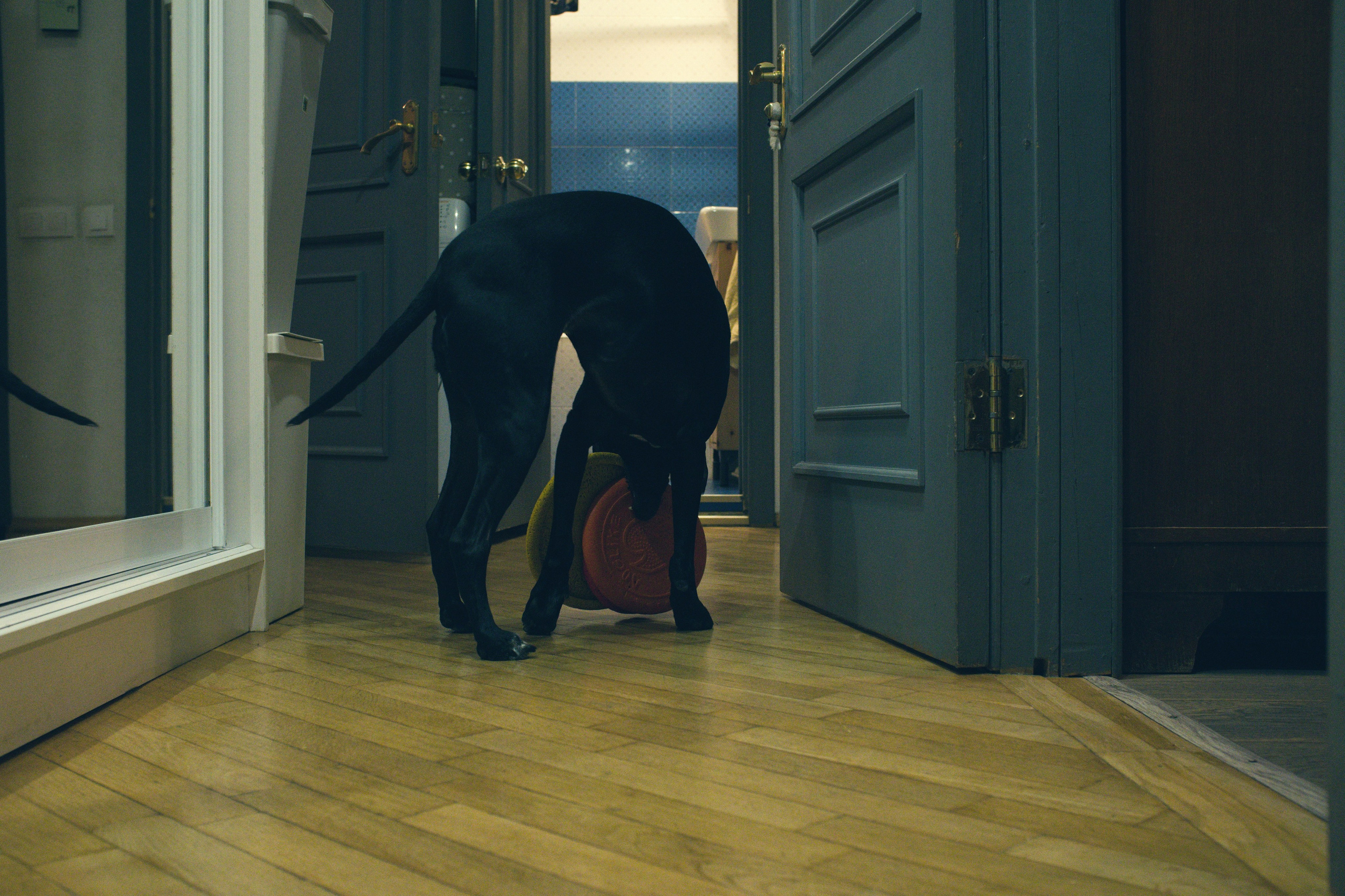 Чина и её люди. Дмитрий Бречалов