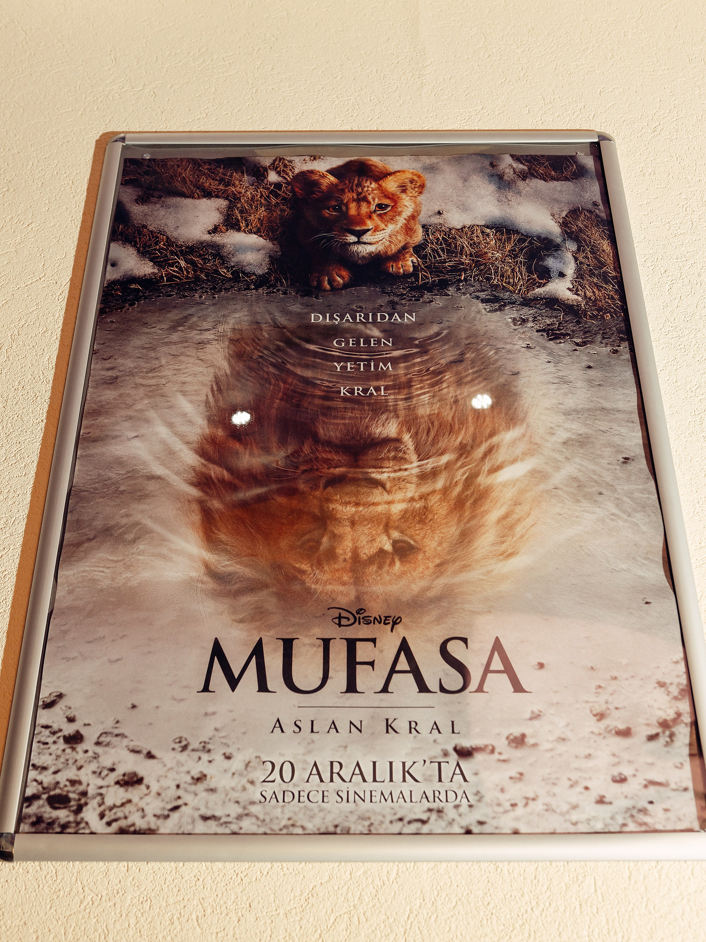 Orlando Starlux. Photographer in Batumi, Georgia Pavel Sharnikov