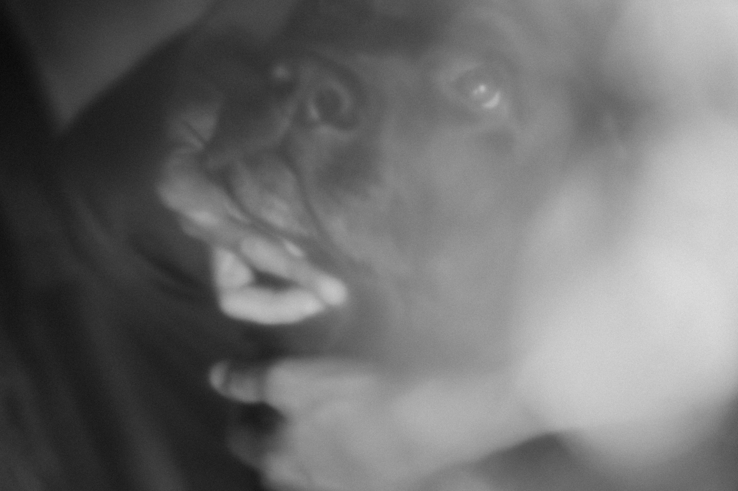 Аркадий Нигматулин «Темнота как форма света». Private image