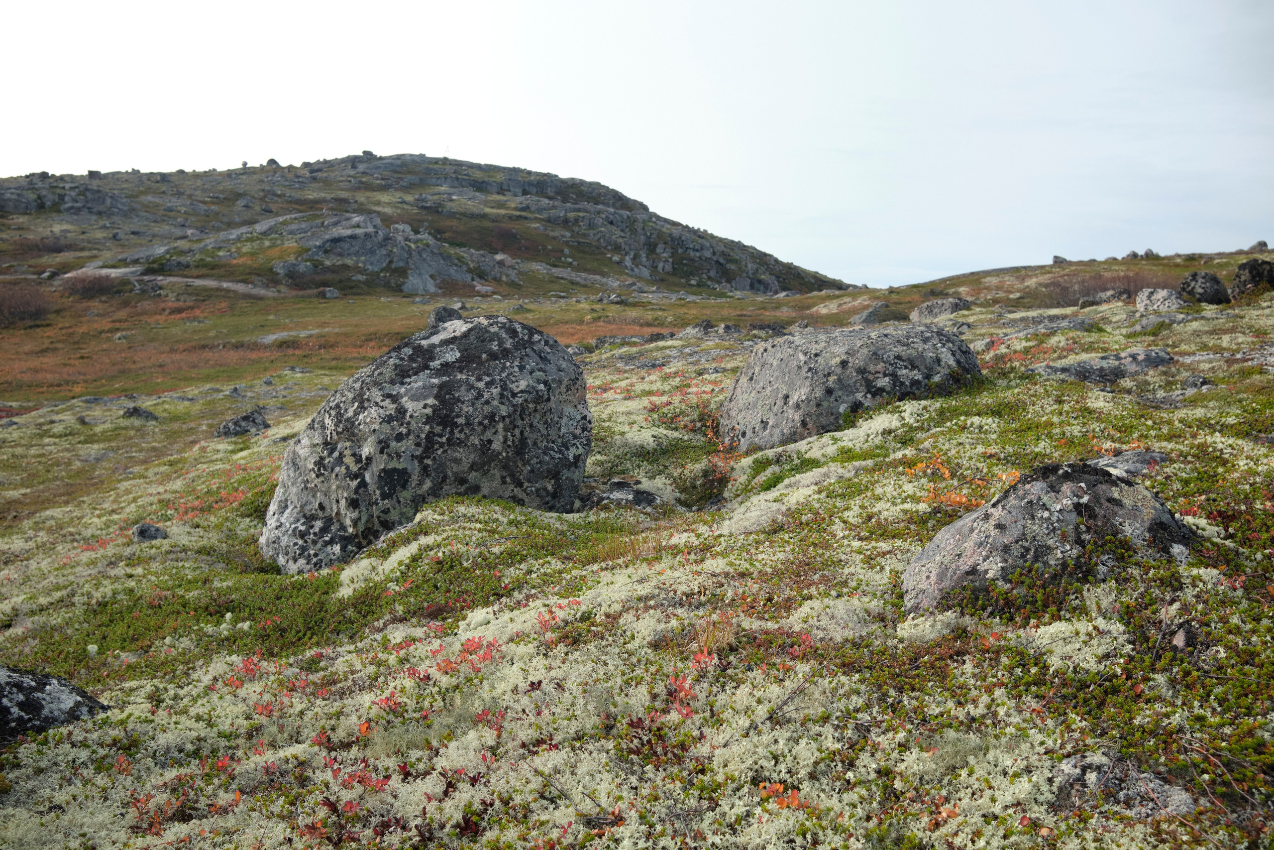 Путешествие в Териберку. Елена Павленко. Фотограф. Москва