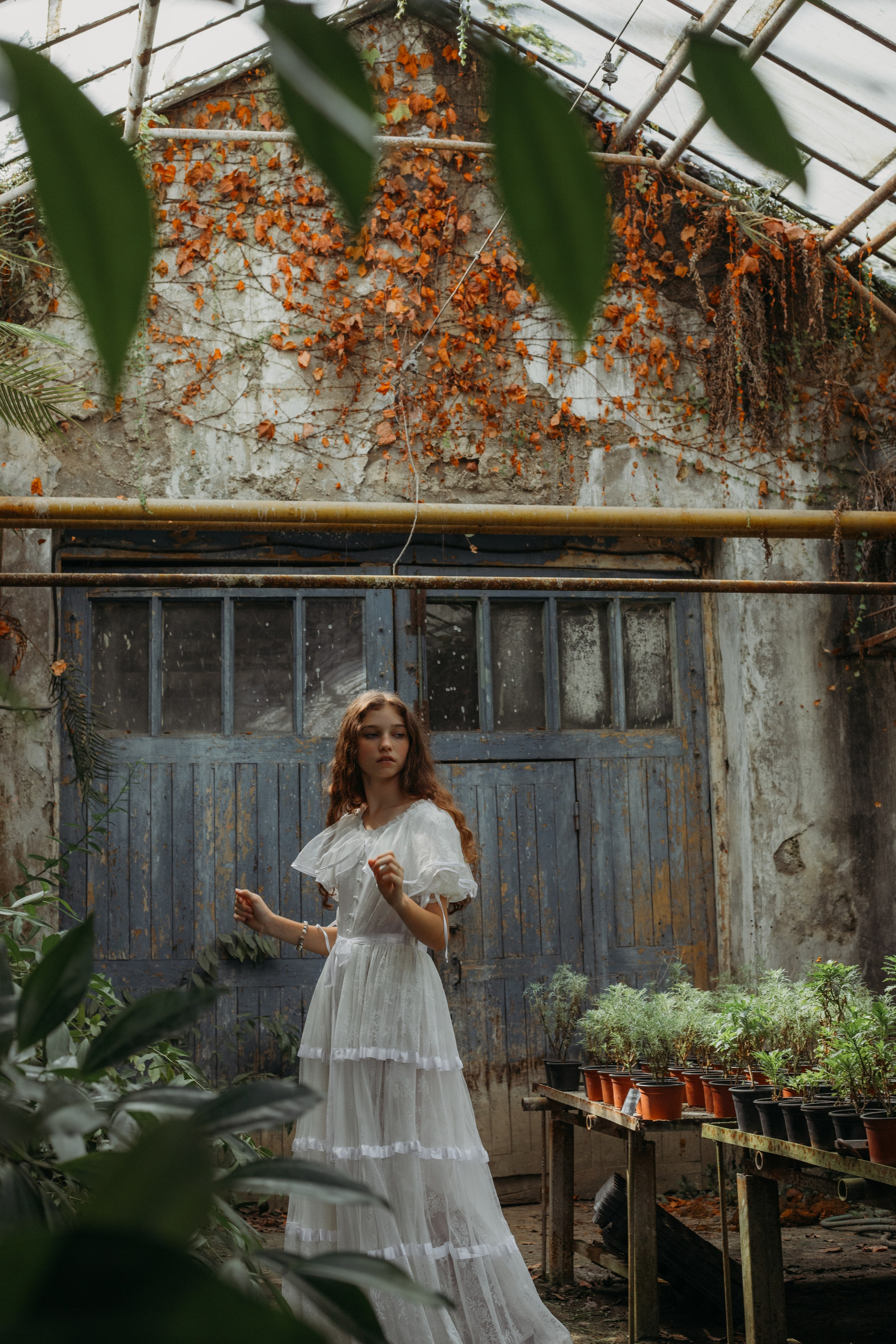 Оранжерея. Репортажный фотограф в Сочи Екатерина Вежливцева