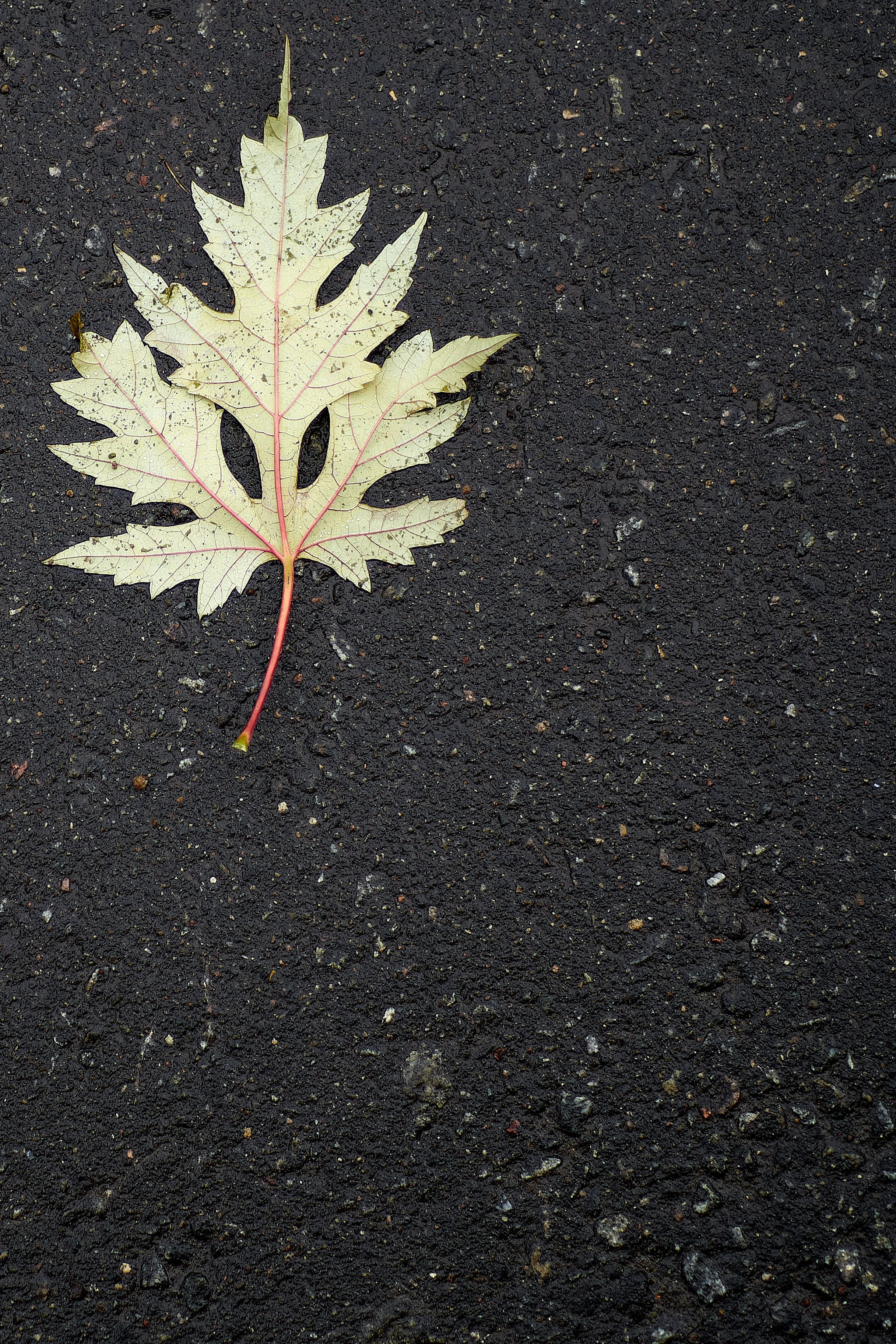 Blog. Reportage event photographer in Moscow Alexander Gladkiy