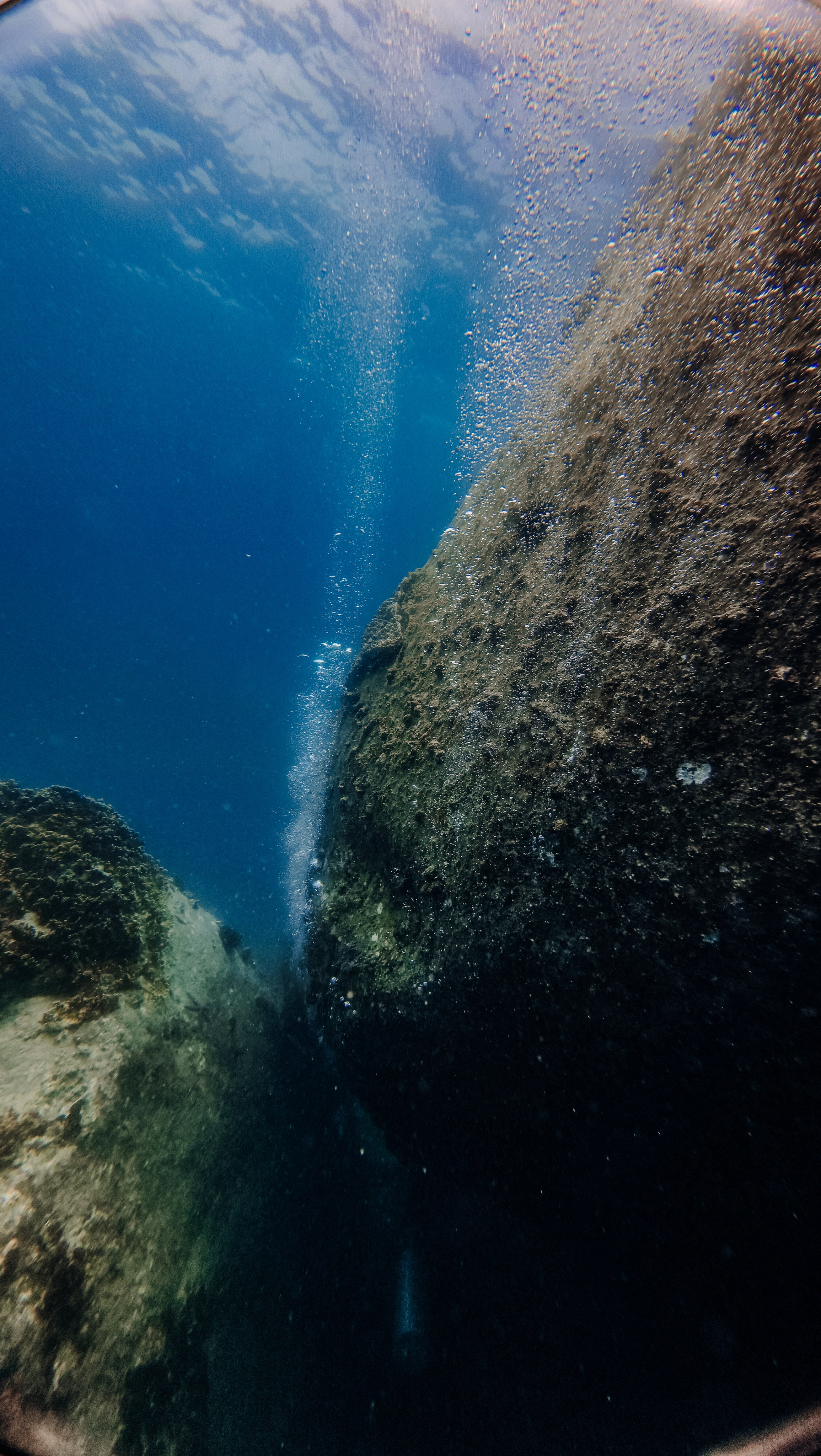 Галерея. Дайвинг во Вьетнаме