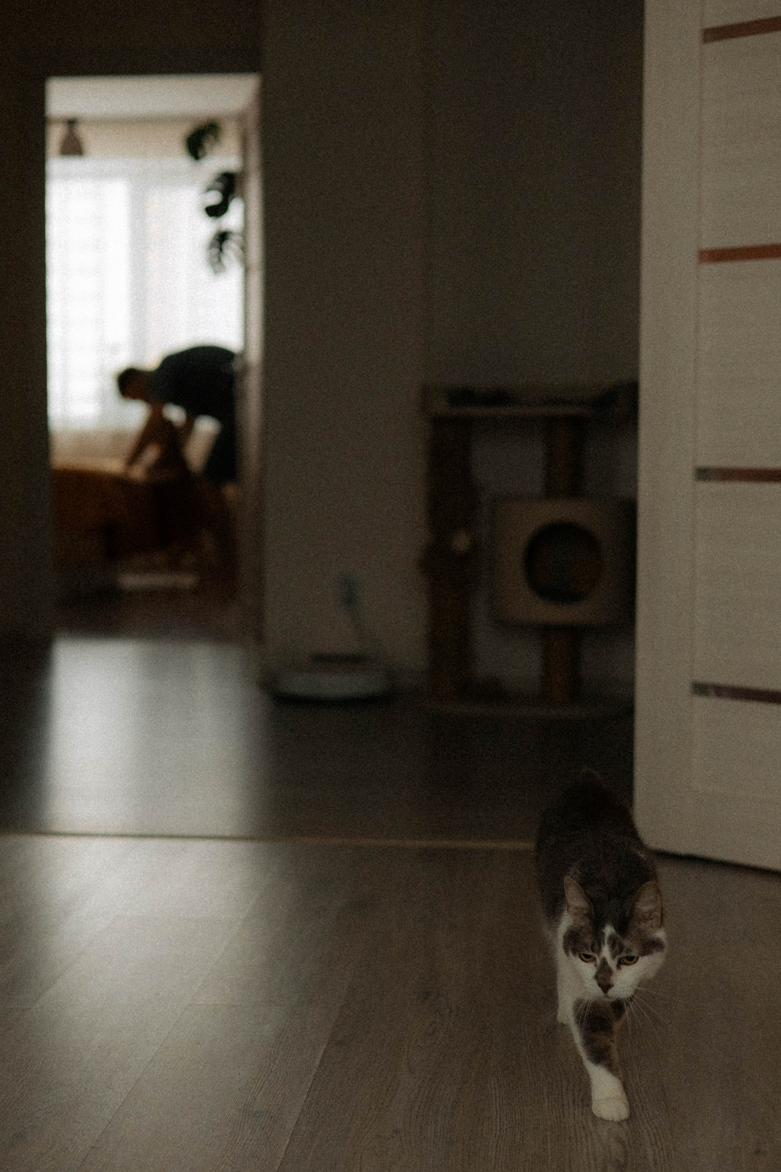 Евгений и Мия. Семейный фотограф в Ижевске Даша Денисова