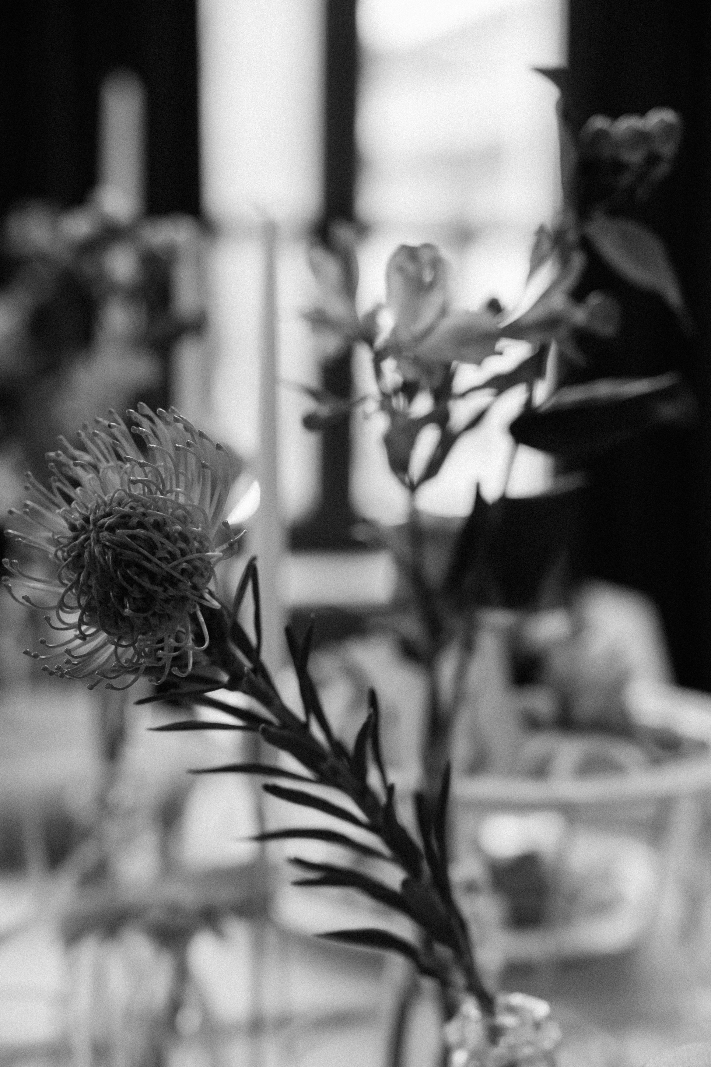 Даня и Полина. Свадебный и семейный фотограф в Москве и Красногорске — живые кадры | Анастасия Тихонова