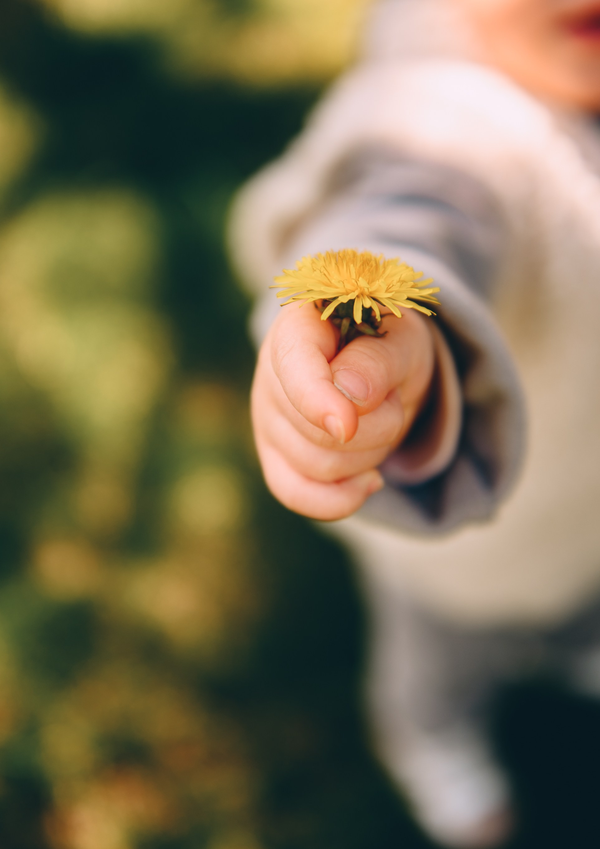 Первый год — полет нормальный). Свадебный и семейный фотограф София Невская