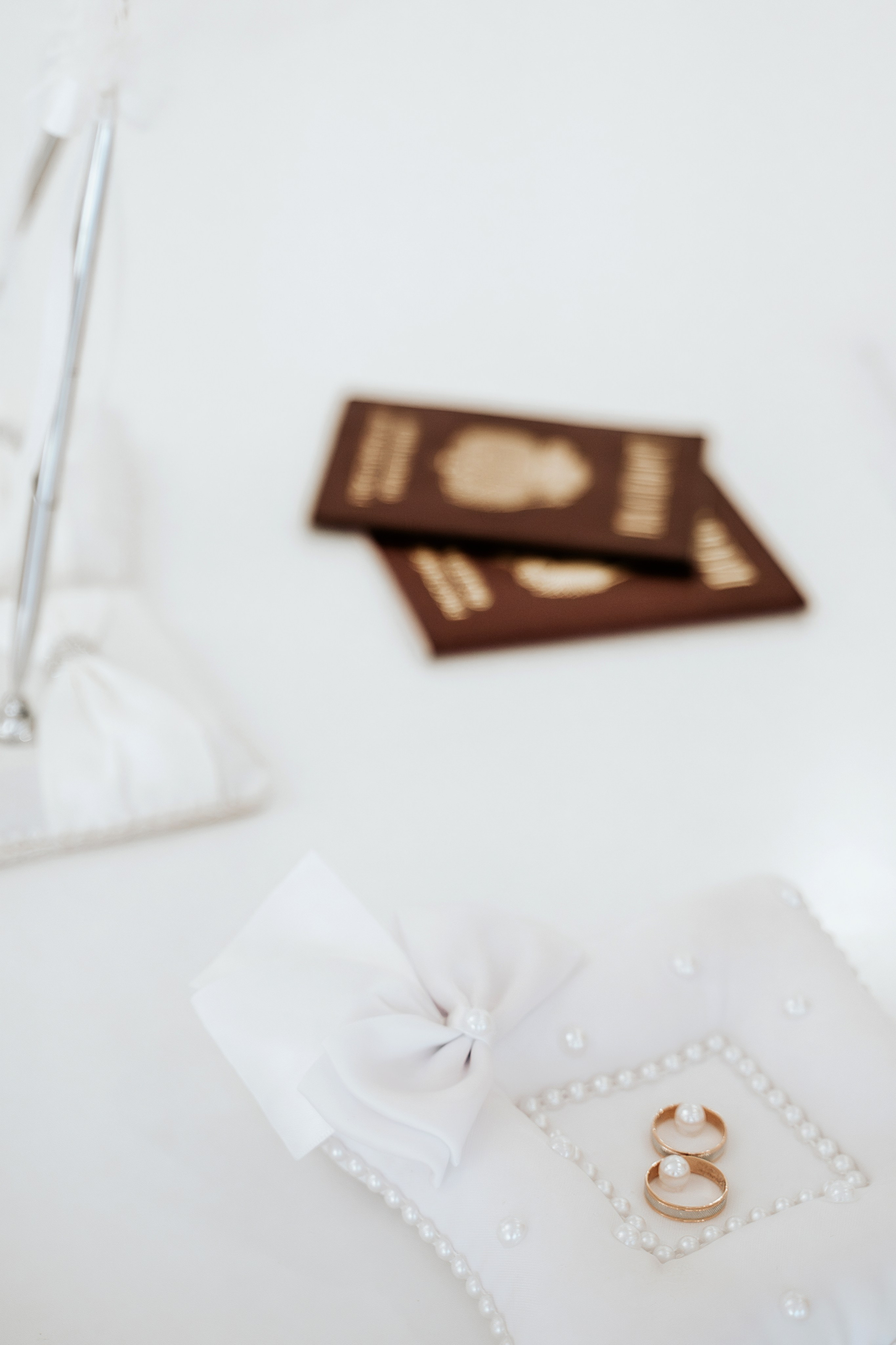 Фотосессия в ЗАГСе. Семейный фотограф в Белгороде Амелина Алина