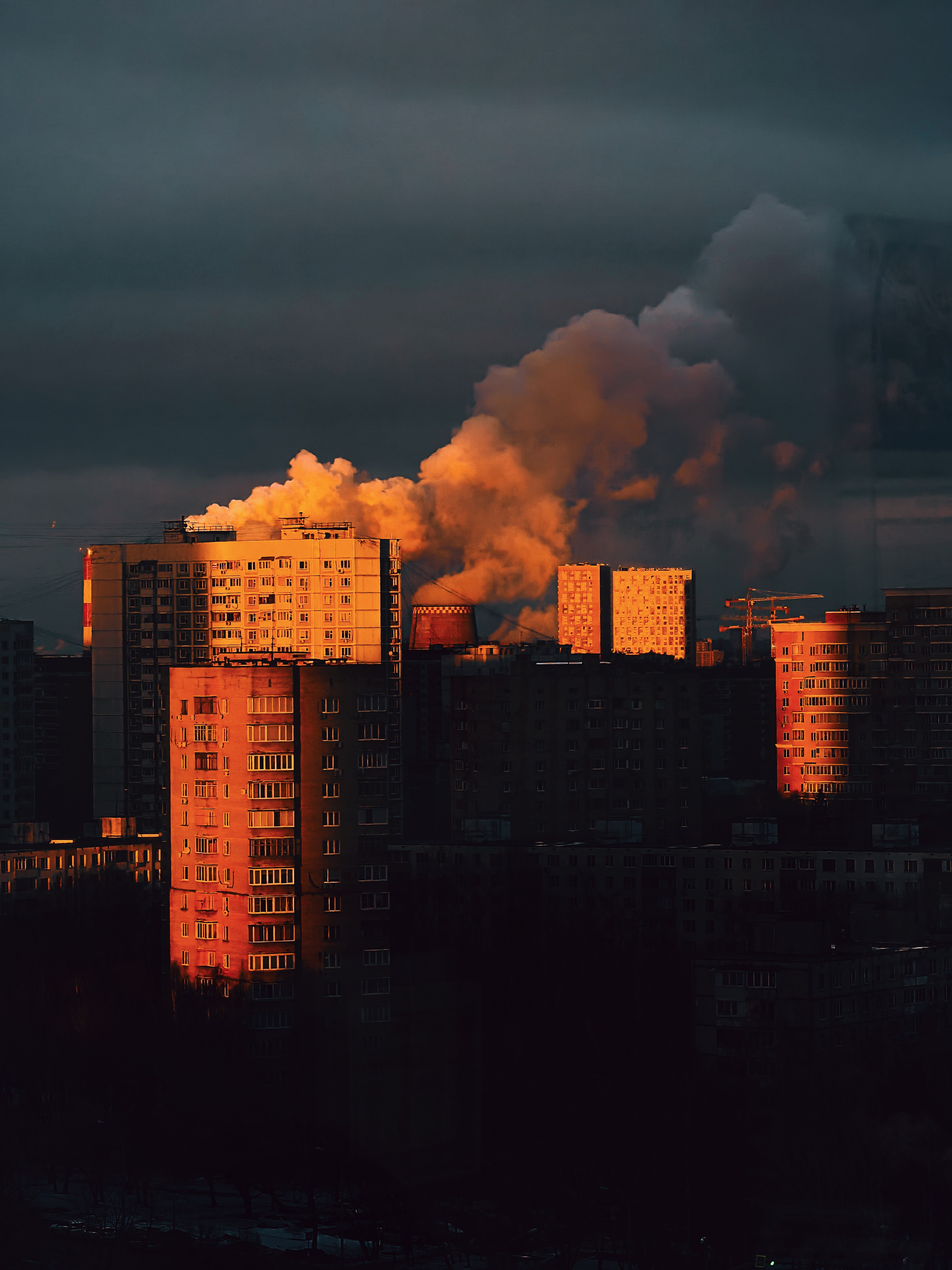 World. Ирина Савельева — фотограф