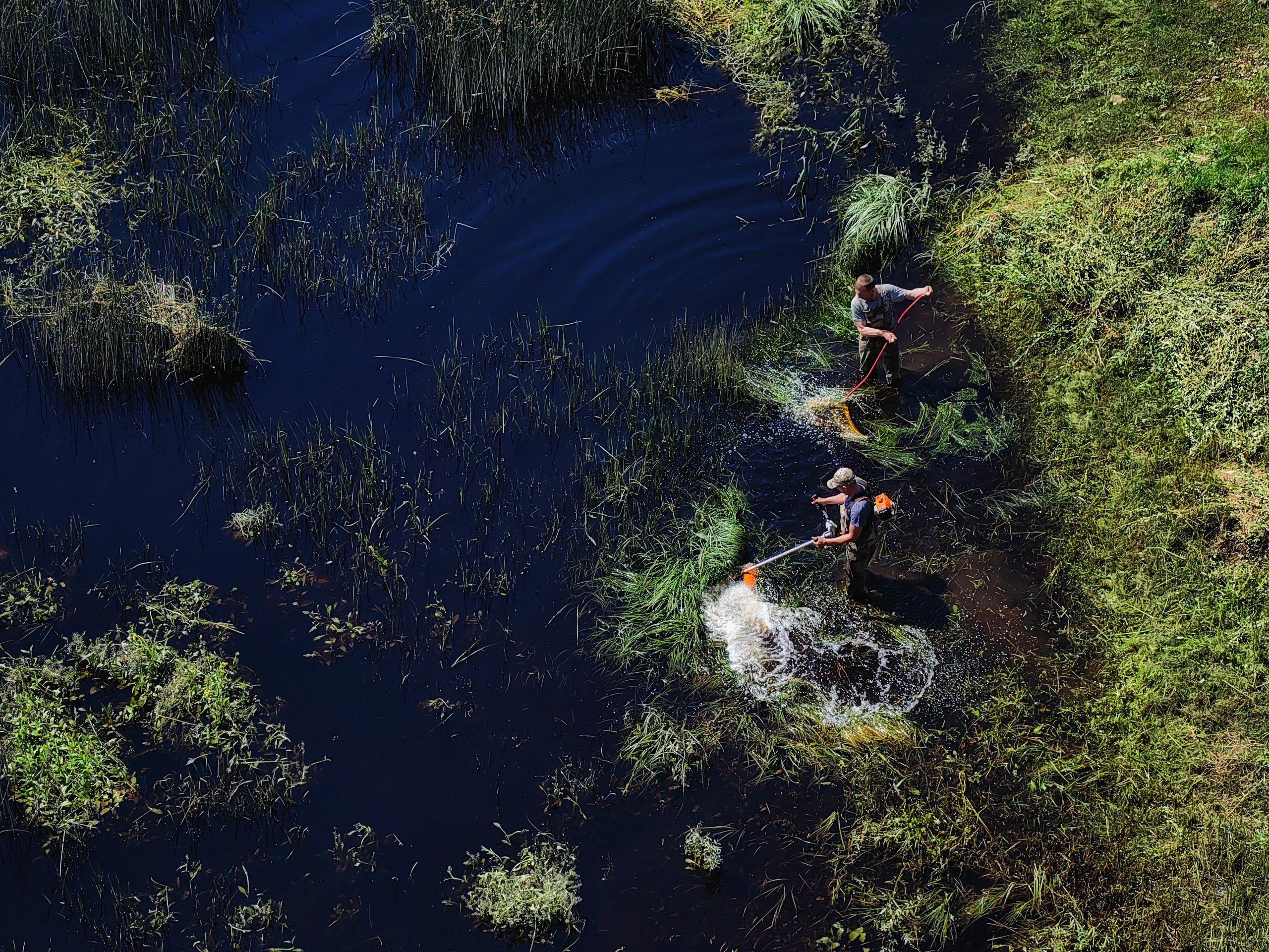 Одиночные. Фотограф Евгений Андреев