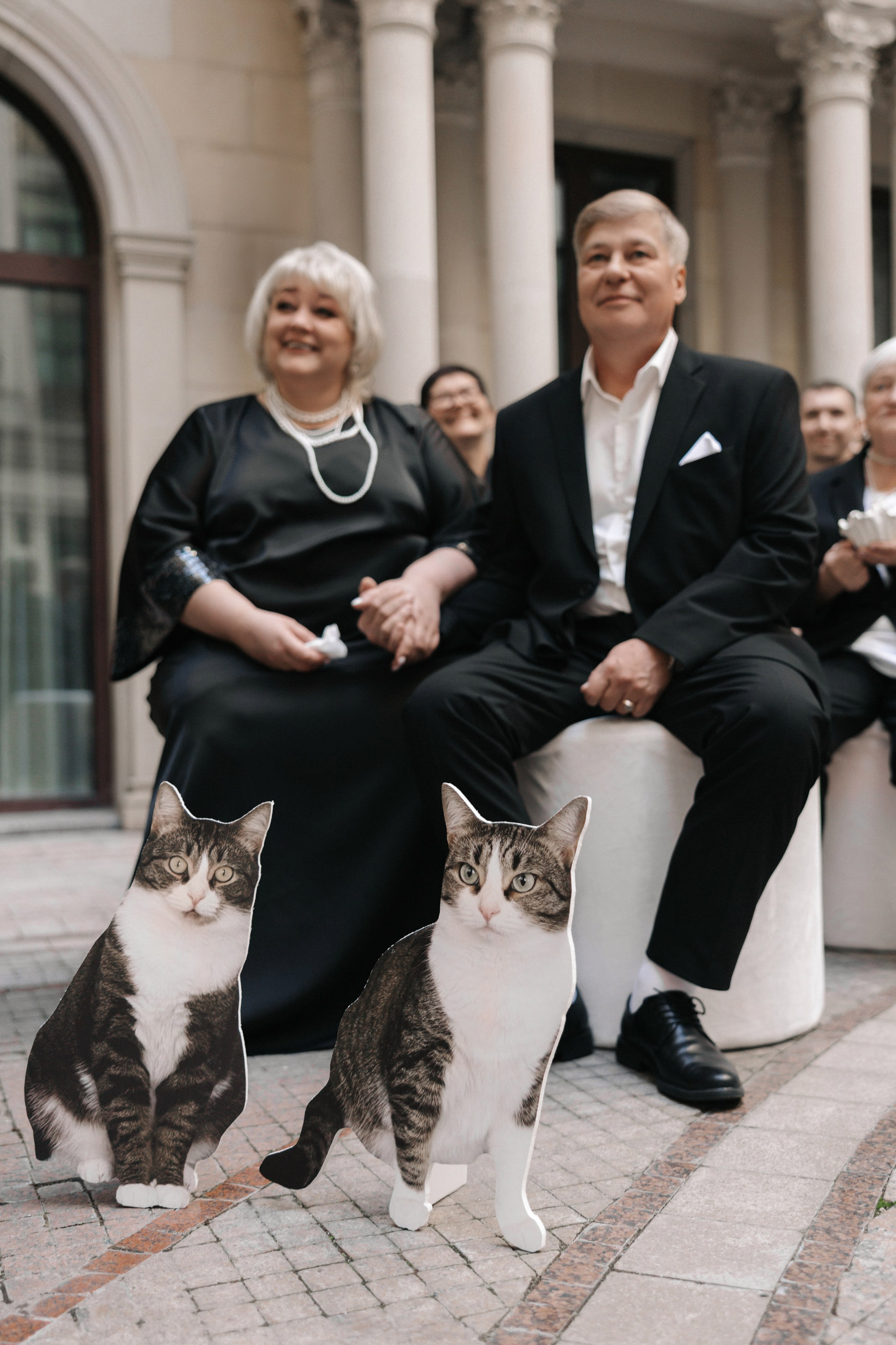 Без кота и жизнь не та. Свадебный фотограф Москва Мотеюнайте Виктория