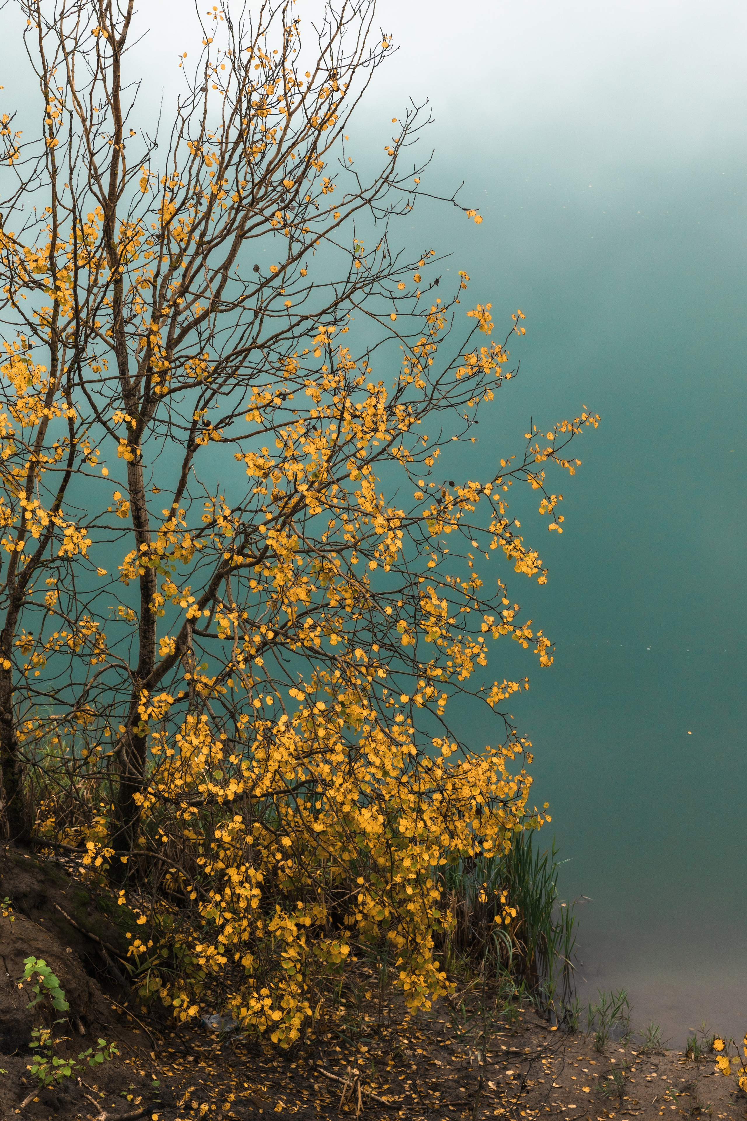 Кондуки. Октябрь 2023. Фотографии